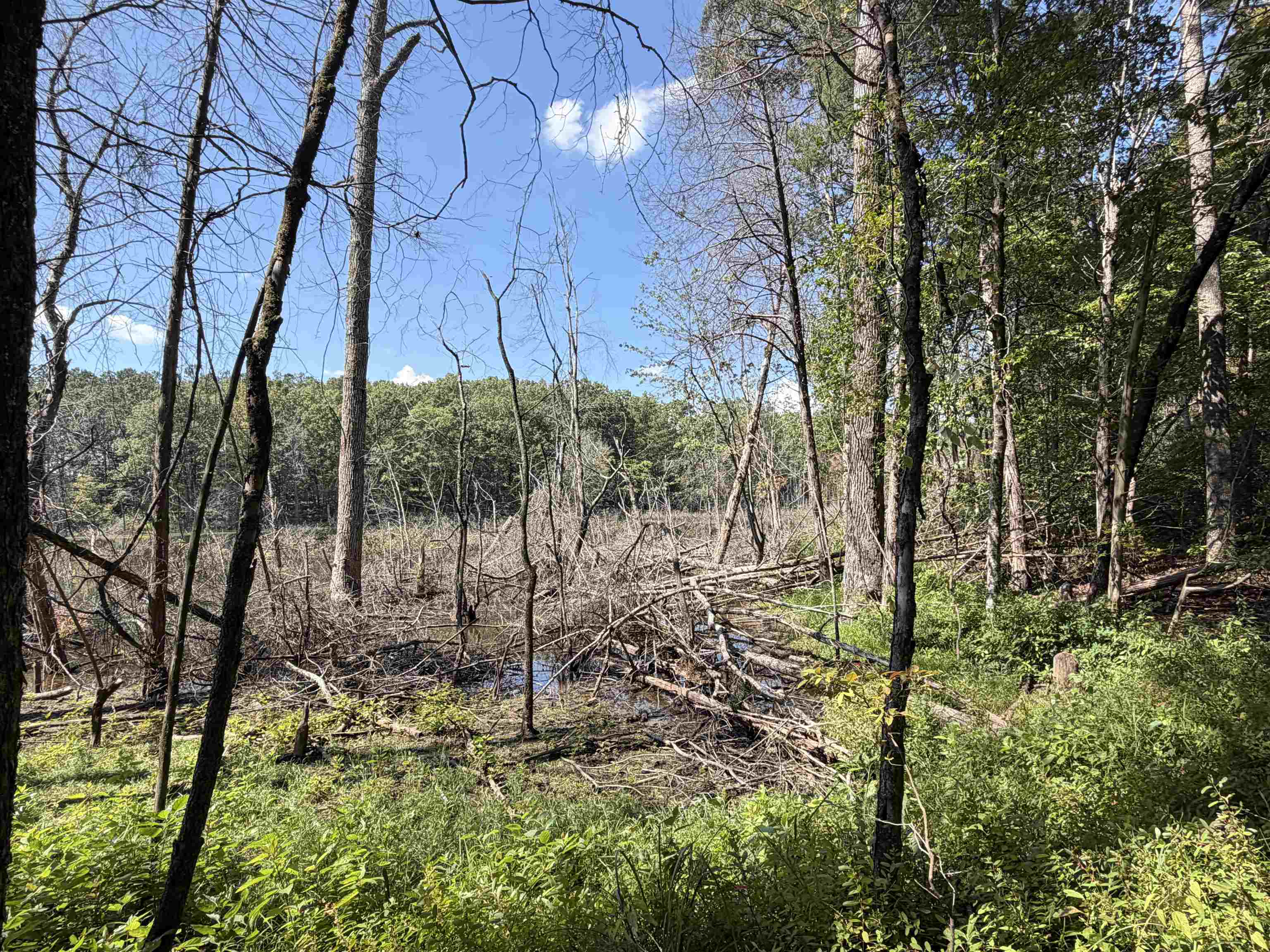 7905 Sain Rd Property Photo 17