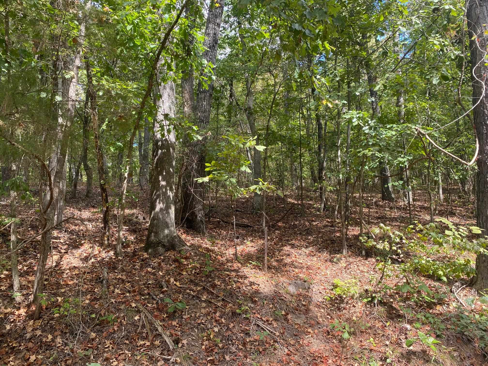 High Smith Rd Property Photo 1