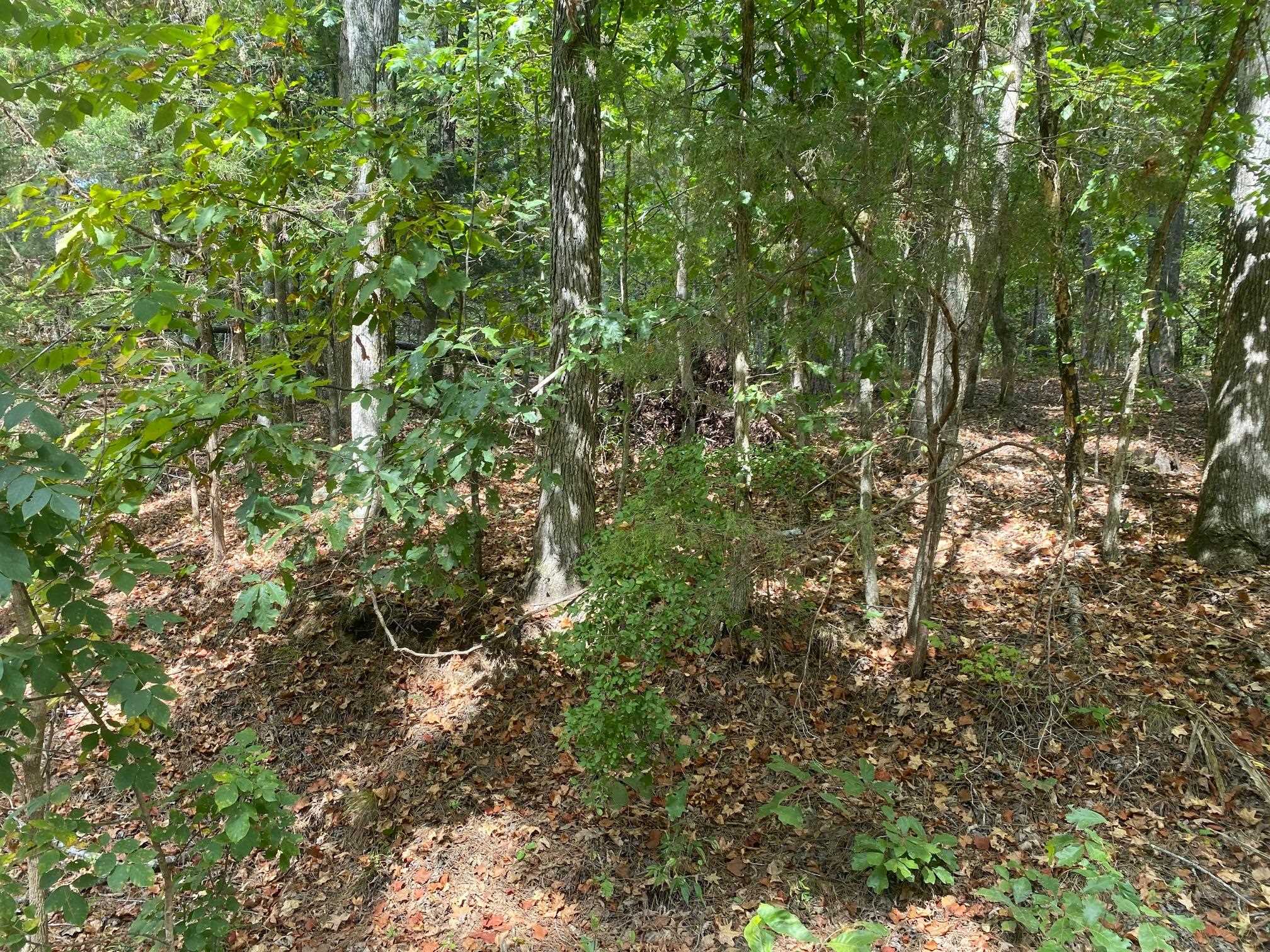 High Smith Rd Property Photo 2