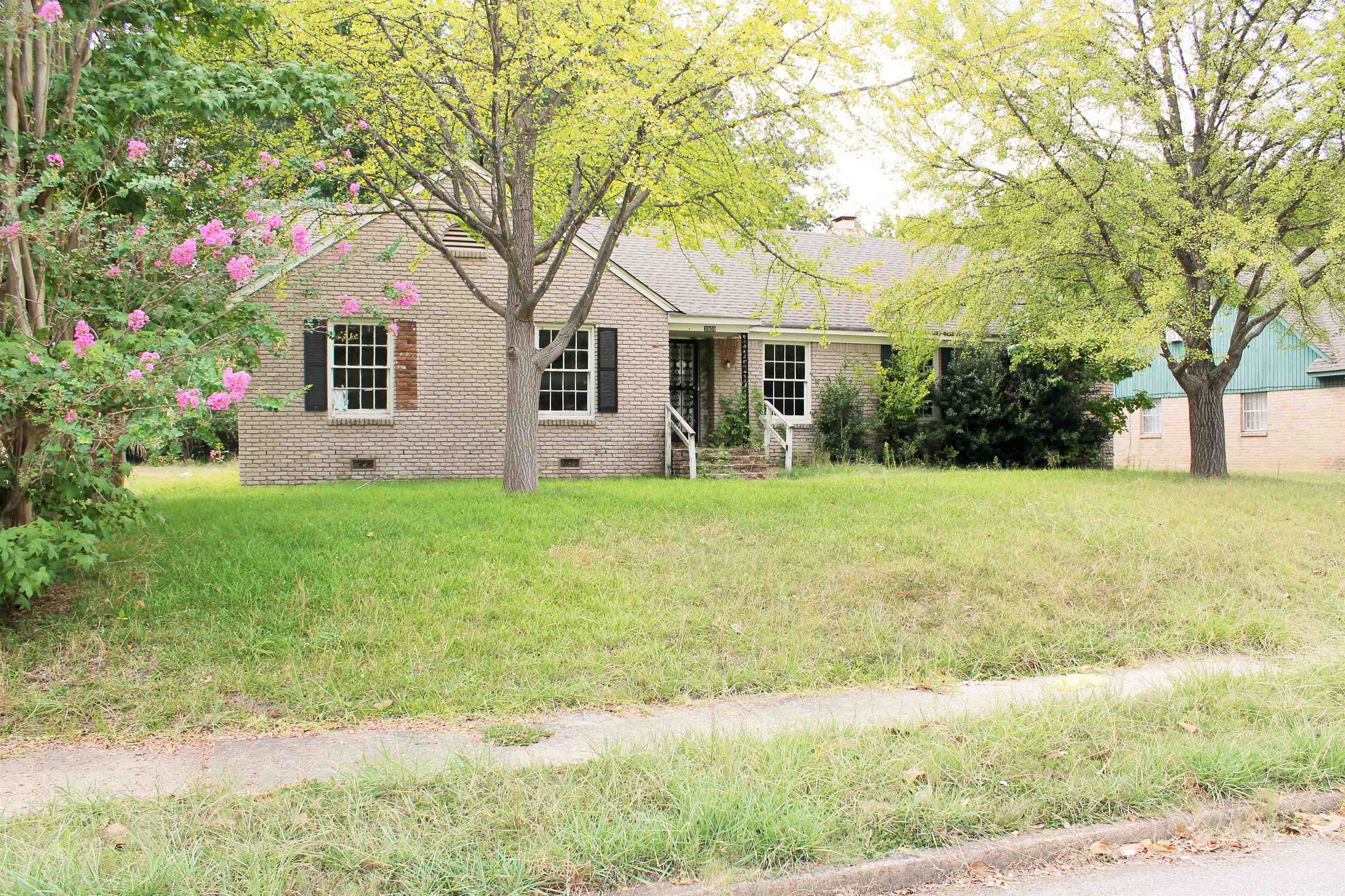 3909 Birchleaf Rd Property Photo 2