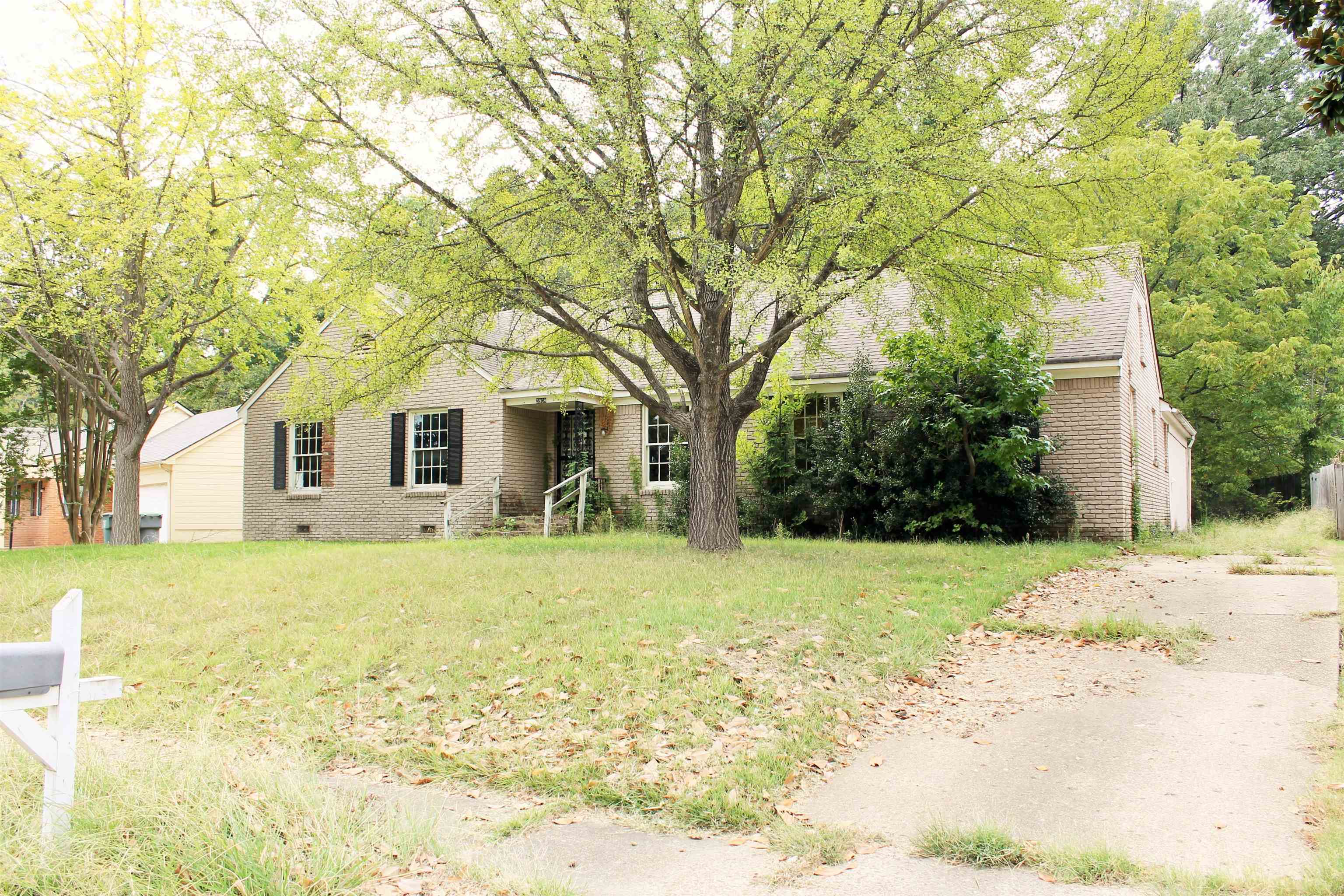 3909 Birchleaf Rd Property Photo 3