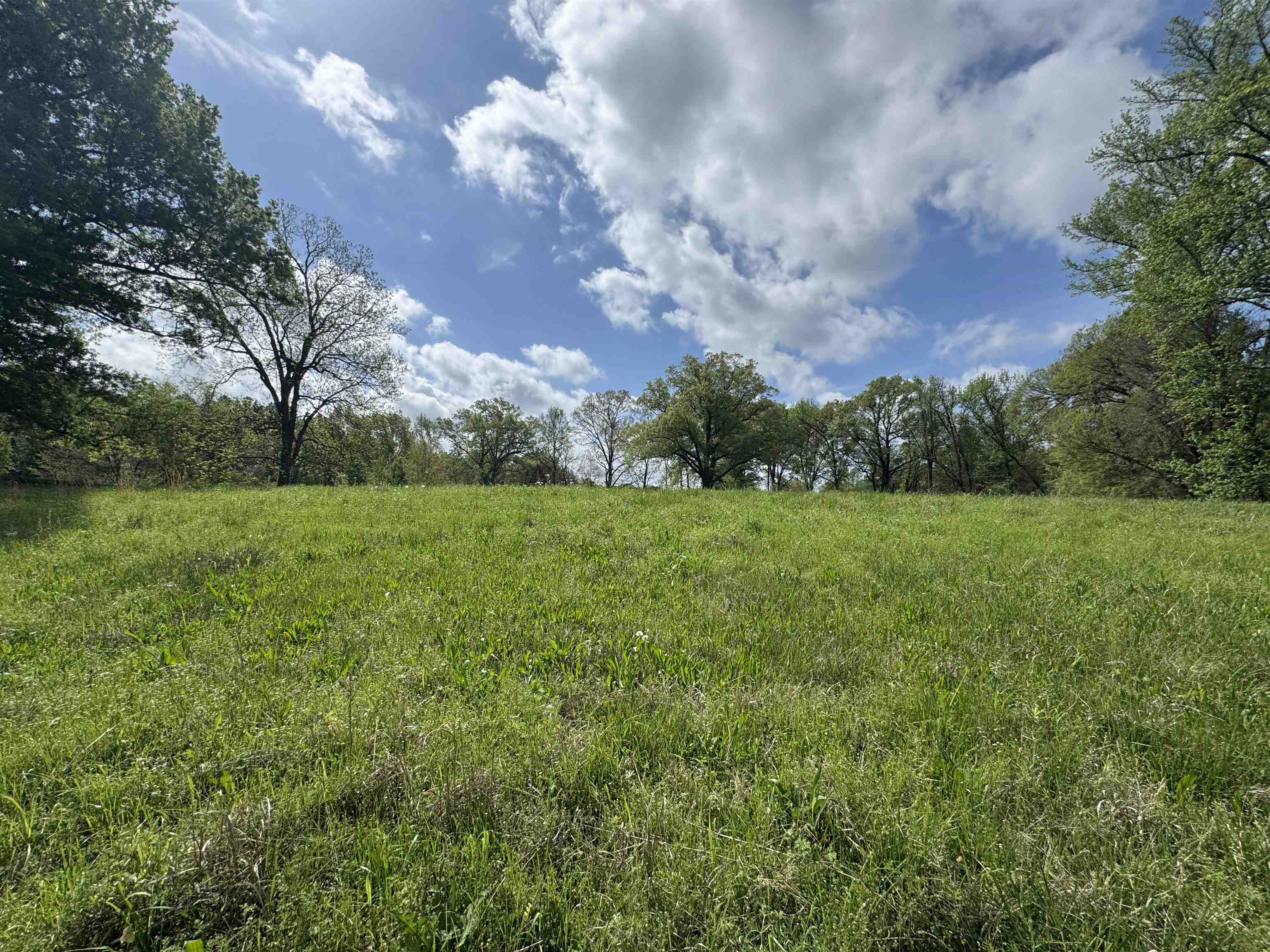 1163 W Raines Rd Property Photo 2