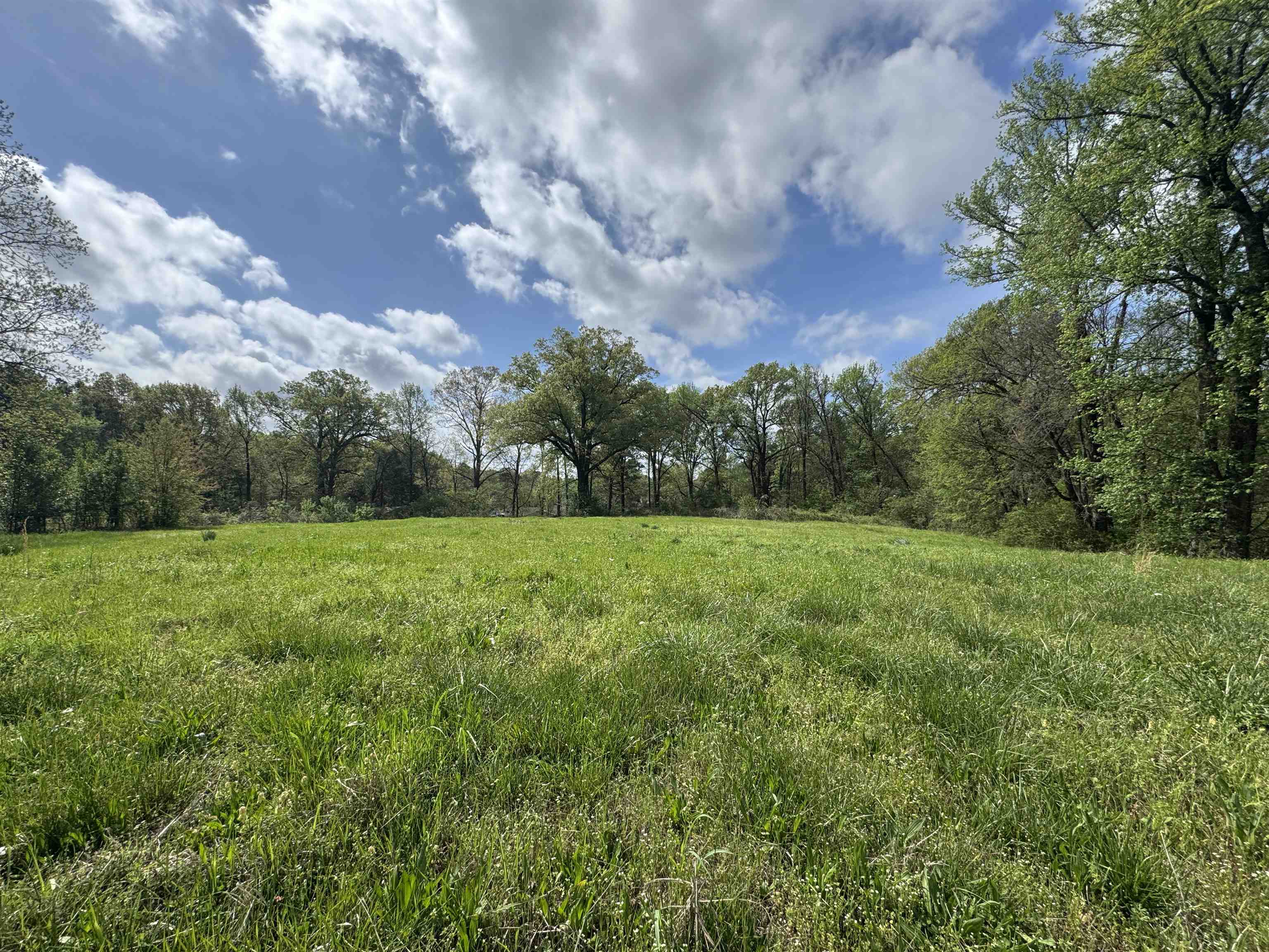 1163 W Raines Rd Property Photo 5