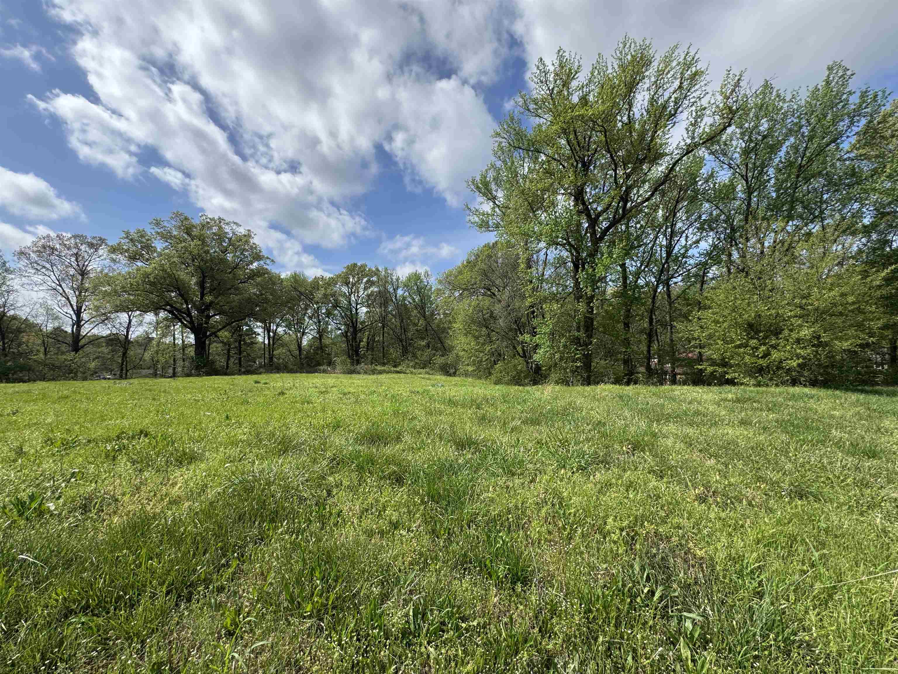 1163 W Raines Rd Property Photo 6