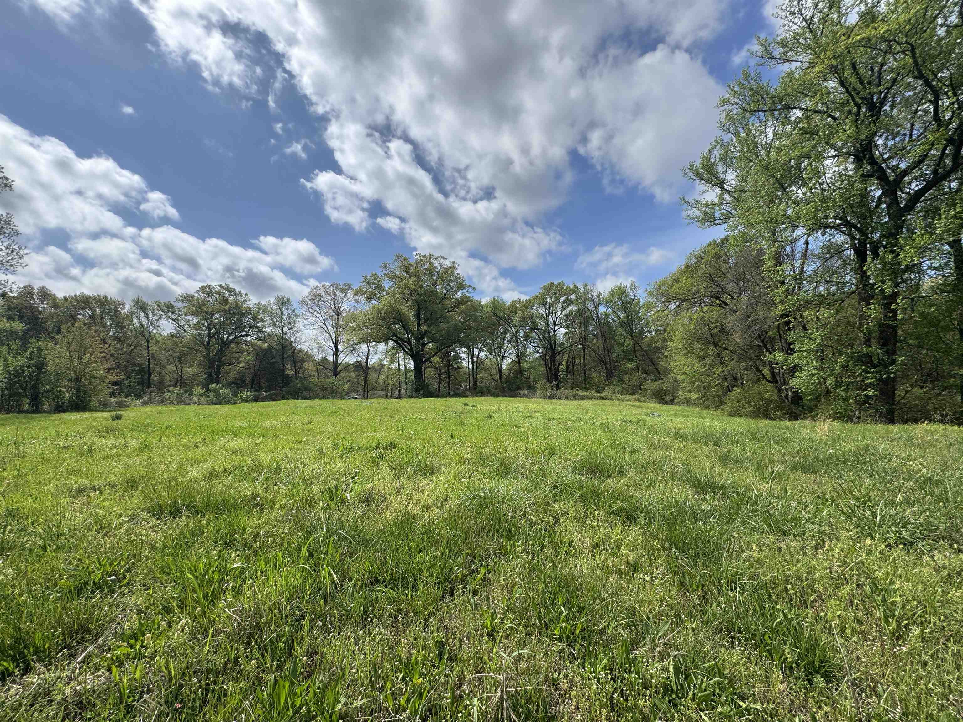 1163 W Raines Rd Property Photo 7