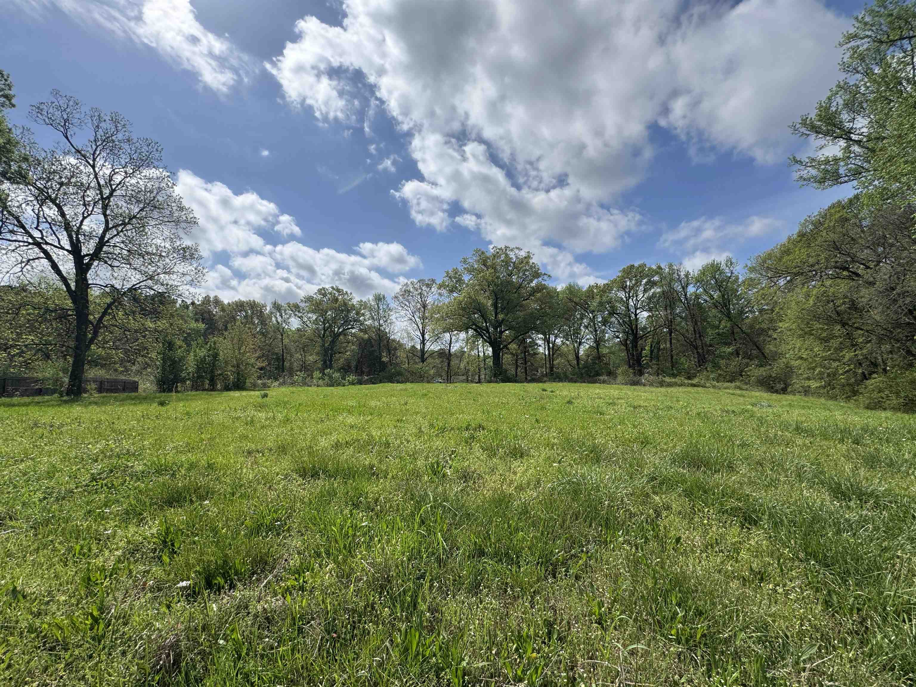 1163 W Raines Rd Property Photo 8