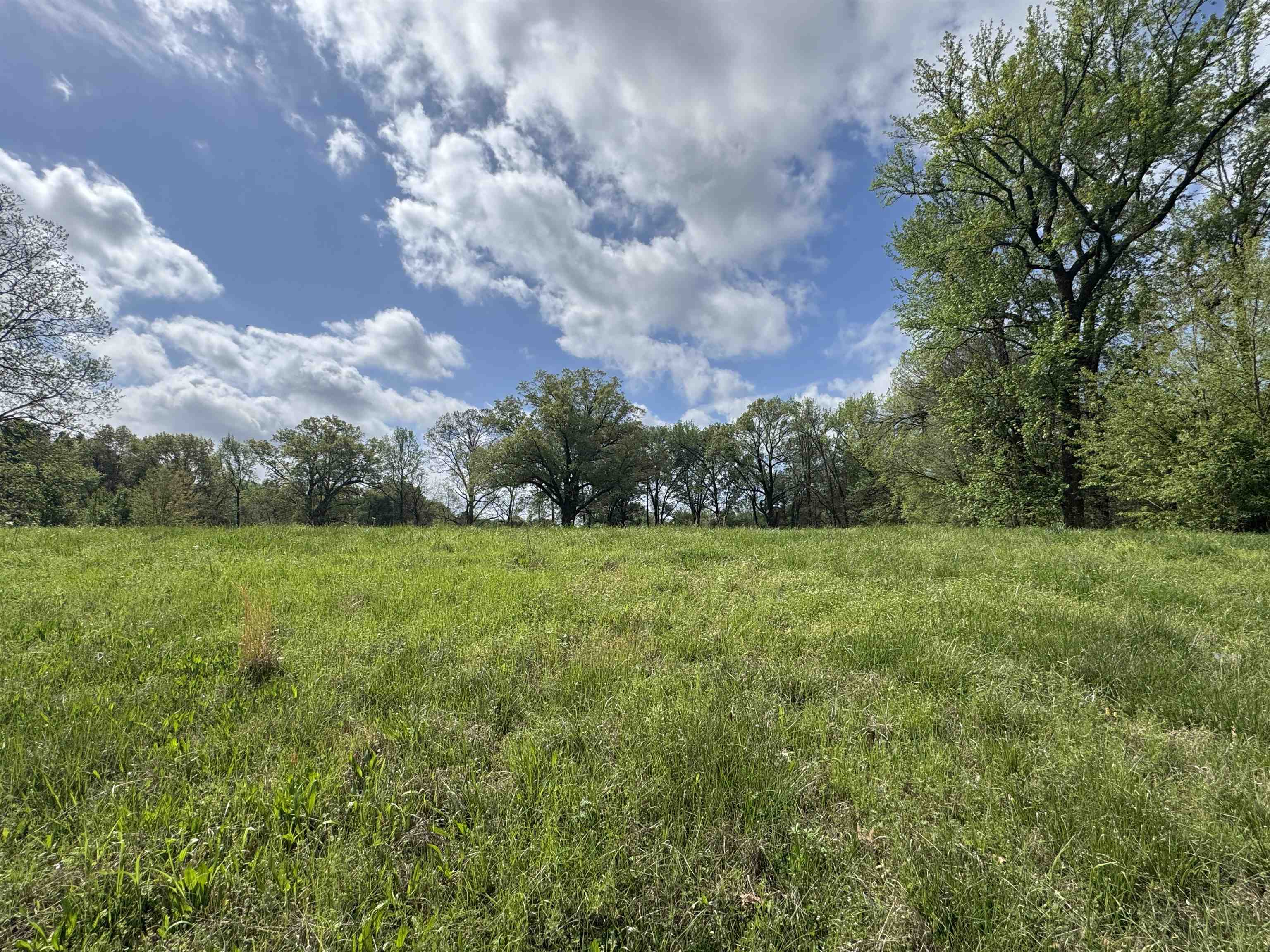 1163 W Raines Rd Property Photo 10
