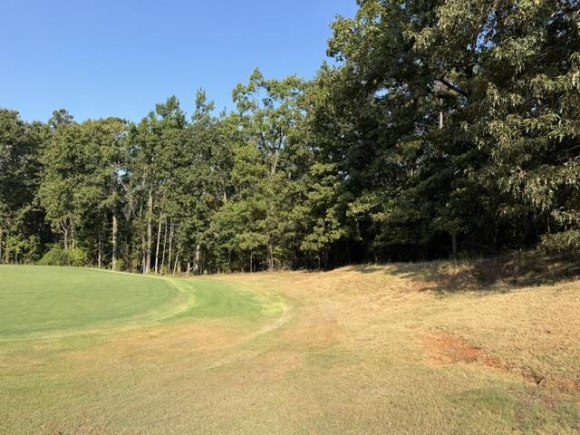 56 Timber Ridge Dr Property Photo 2