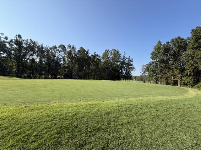 56 Timber Ridge Dr Property Photo 3