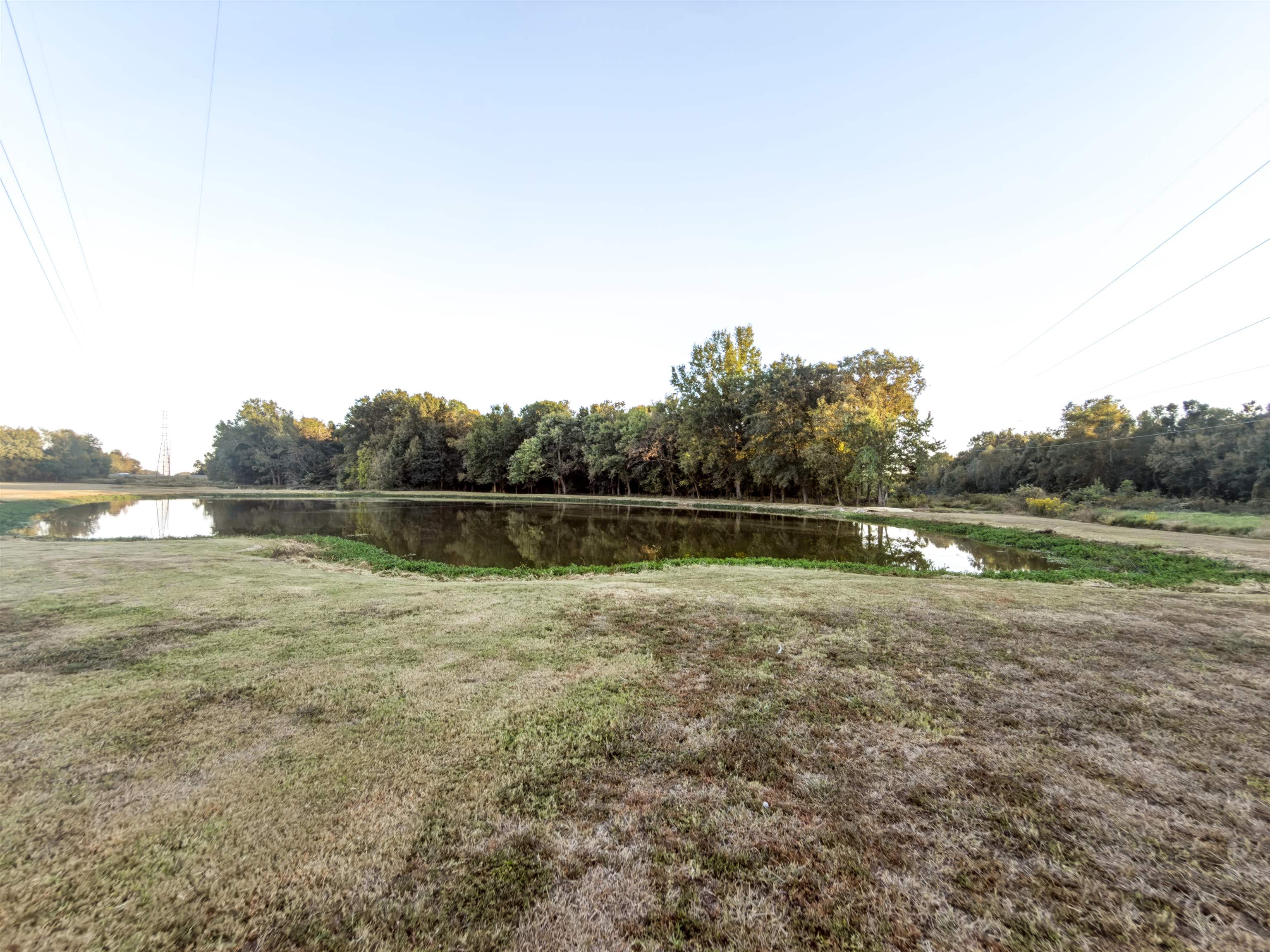 993 Cold Creek Cv Property Photo 39