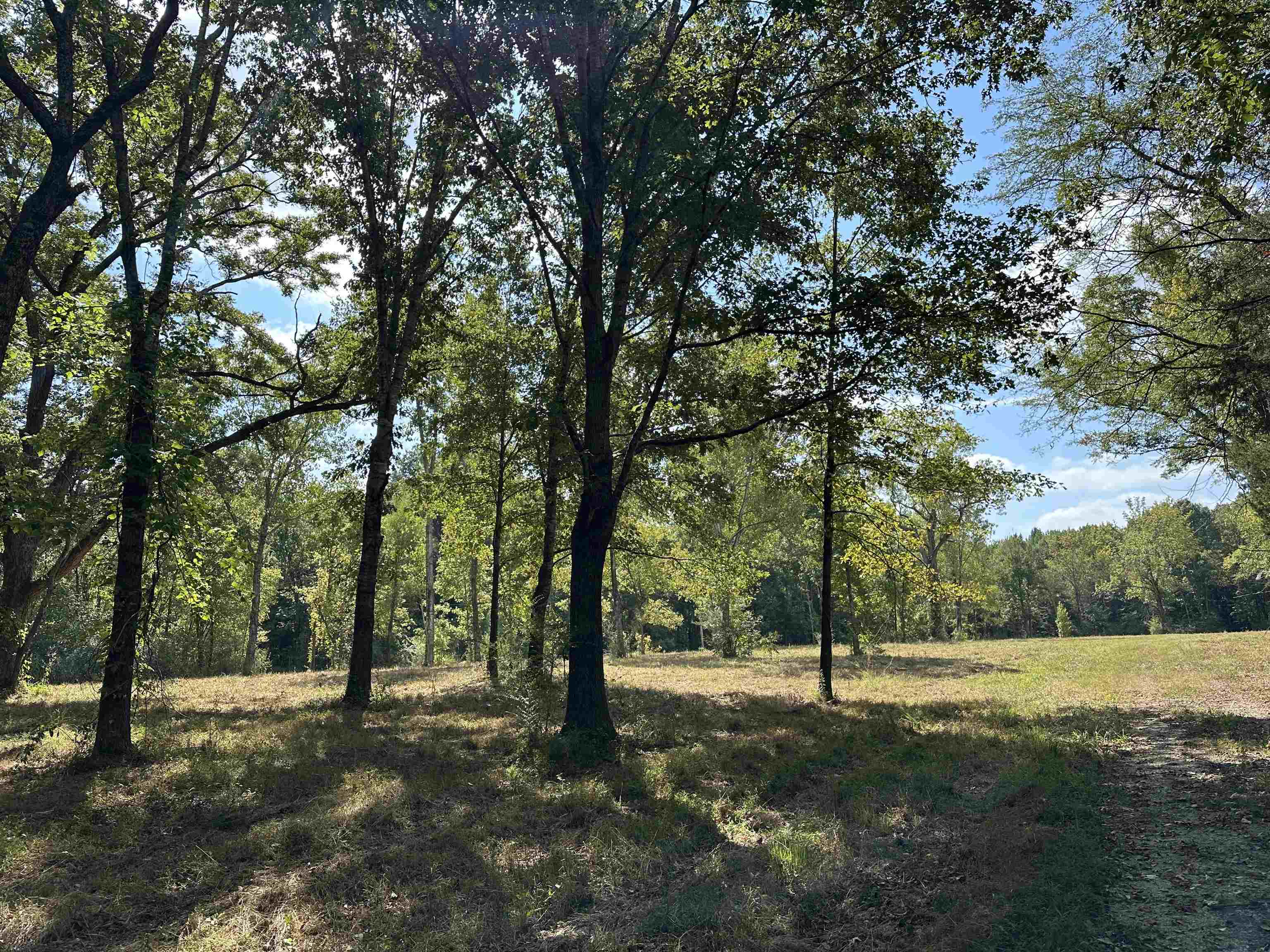 260 Mill Rd Property Photo 1
