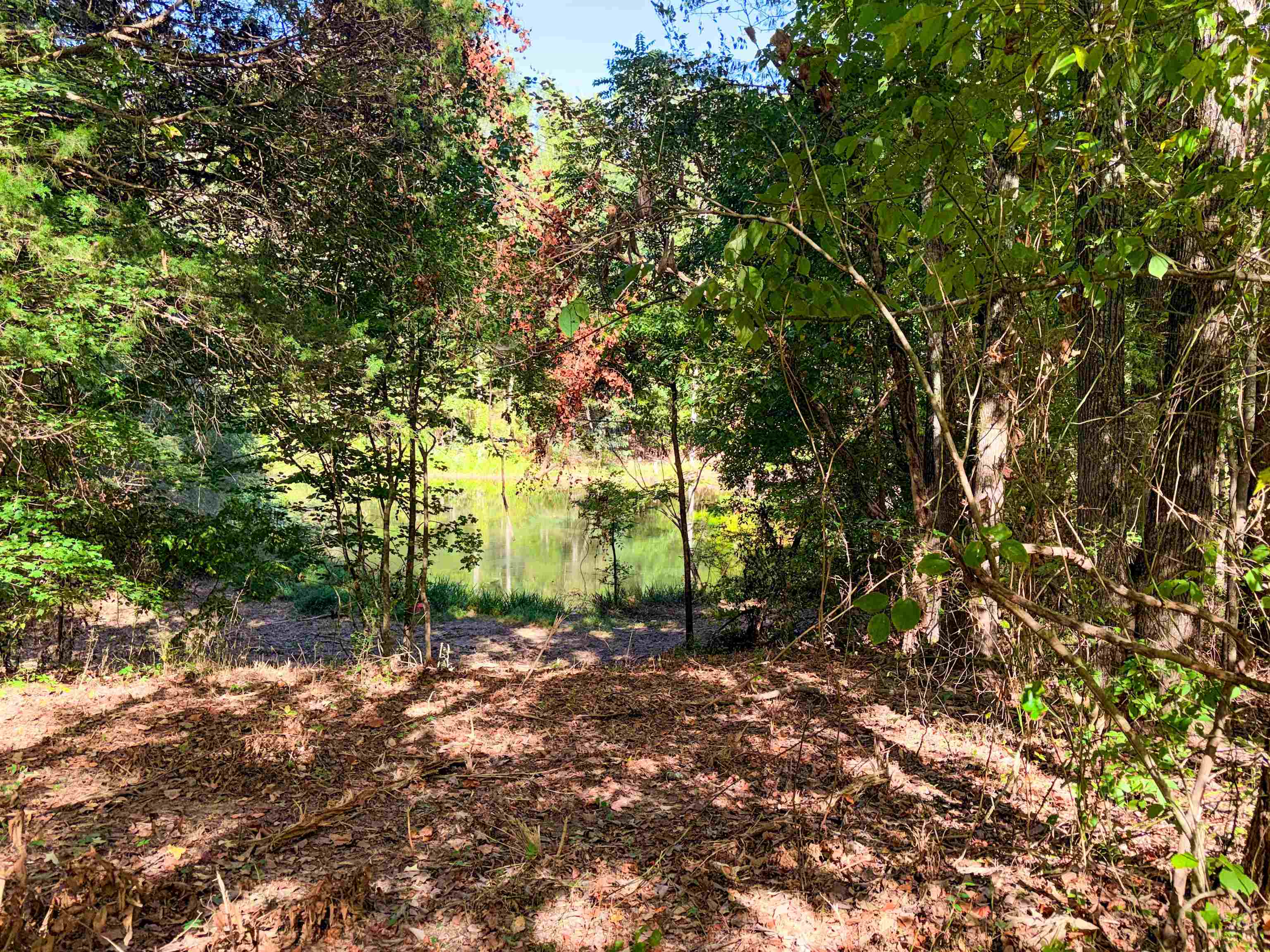 725 Chaser Dr Property Photo 24