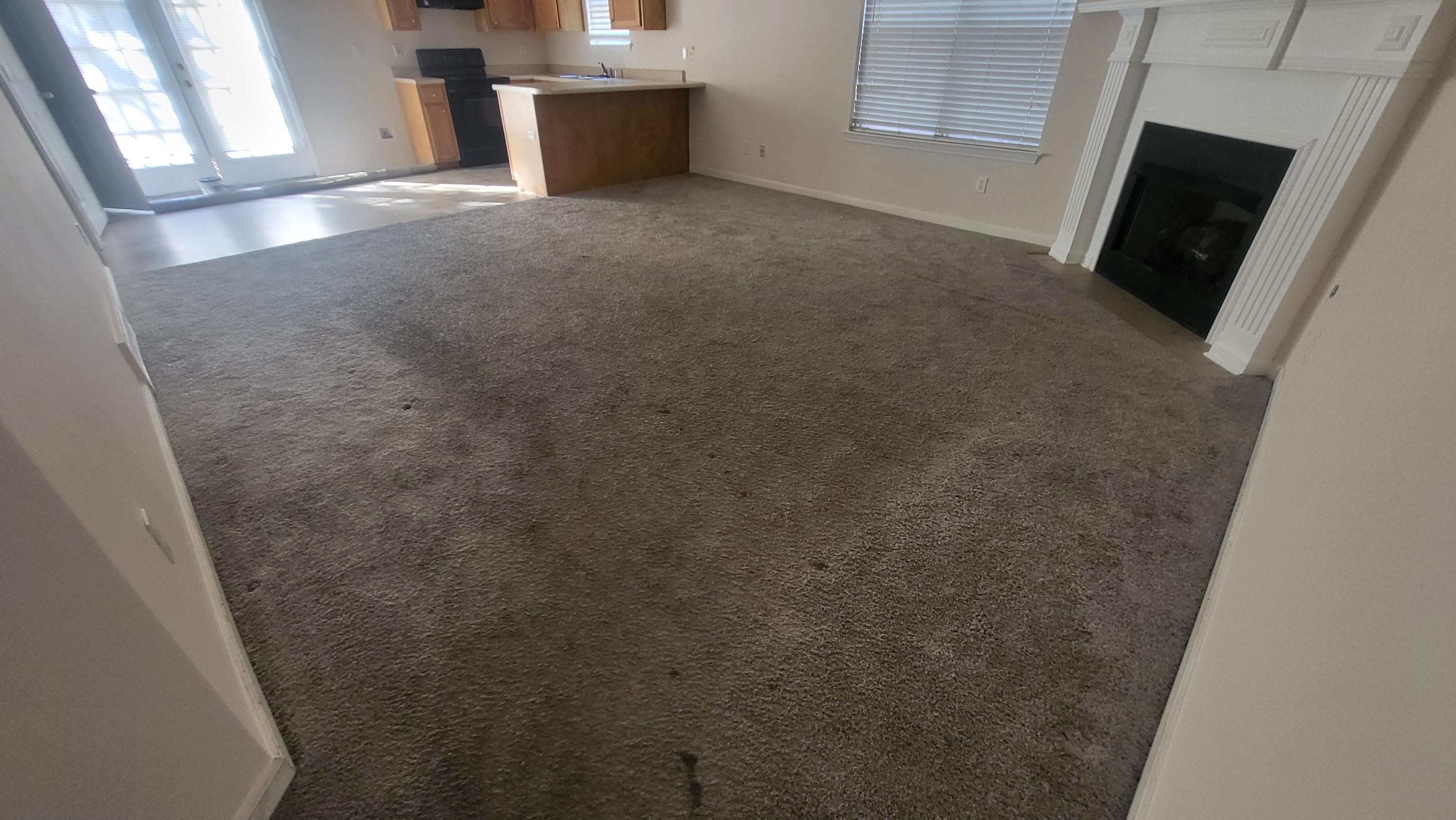 2843 Misty Briar Cv Property Photo 13