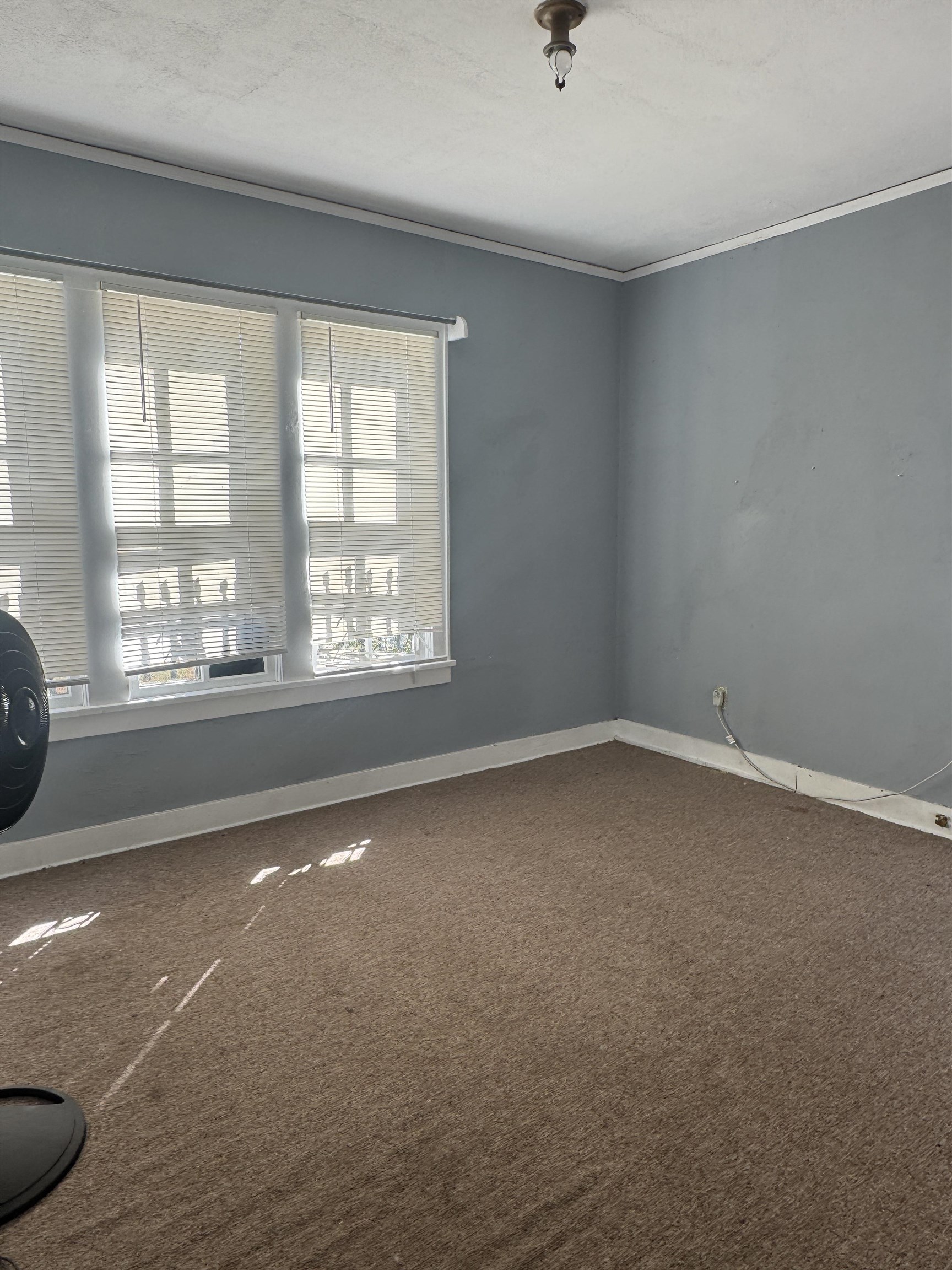 3818 Faxon Ave Property Photo 5