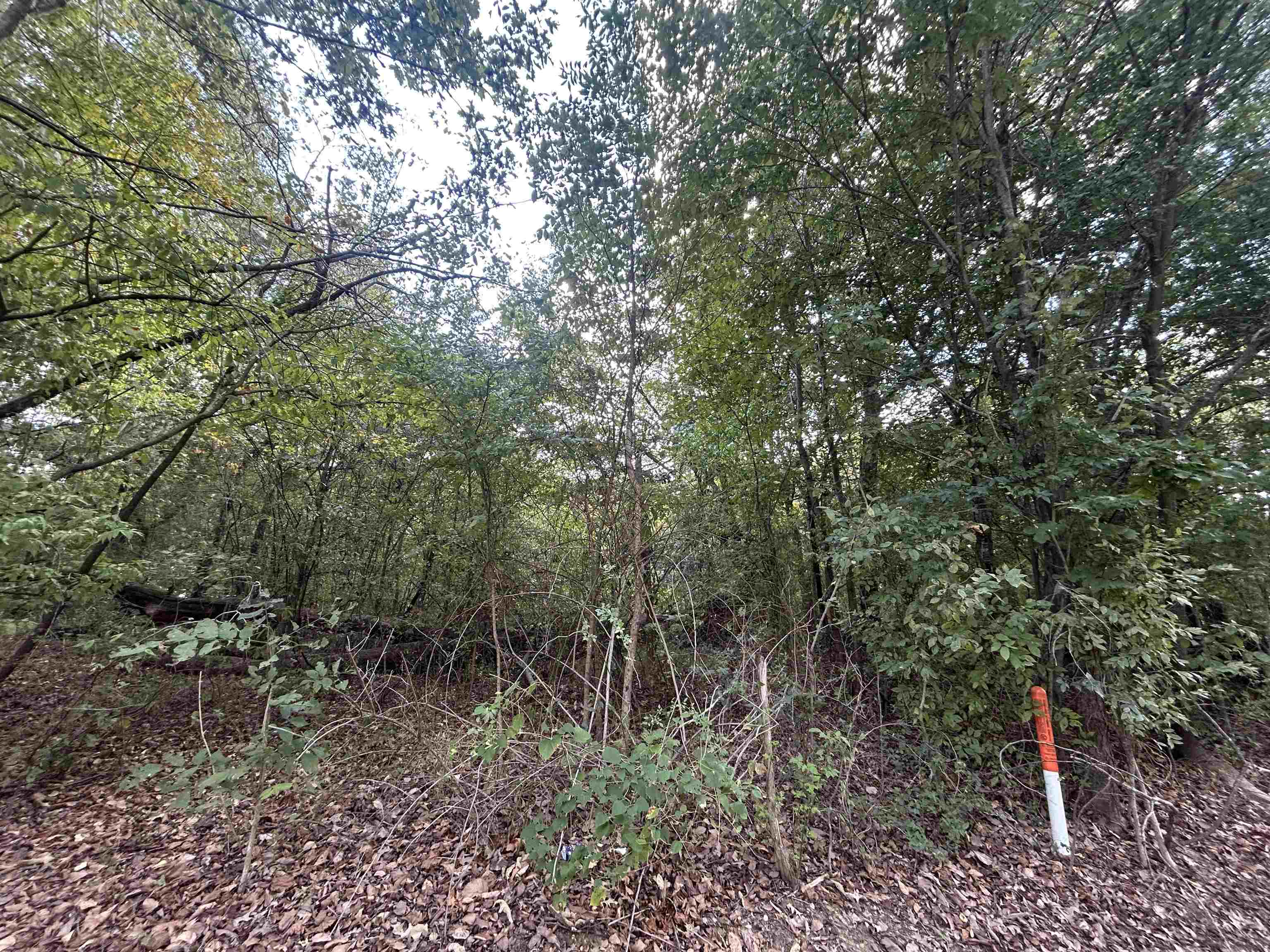 0 Huffman Rd Property Photo 2