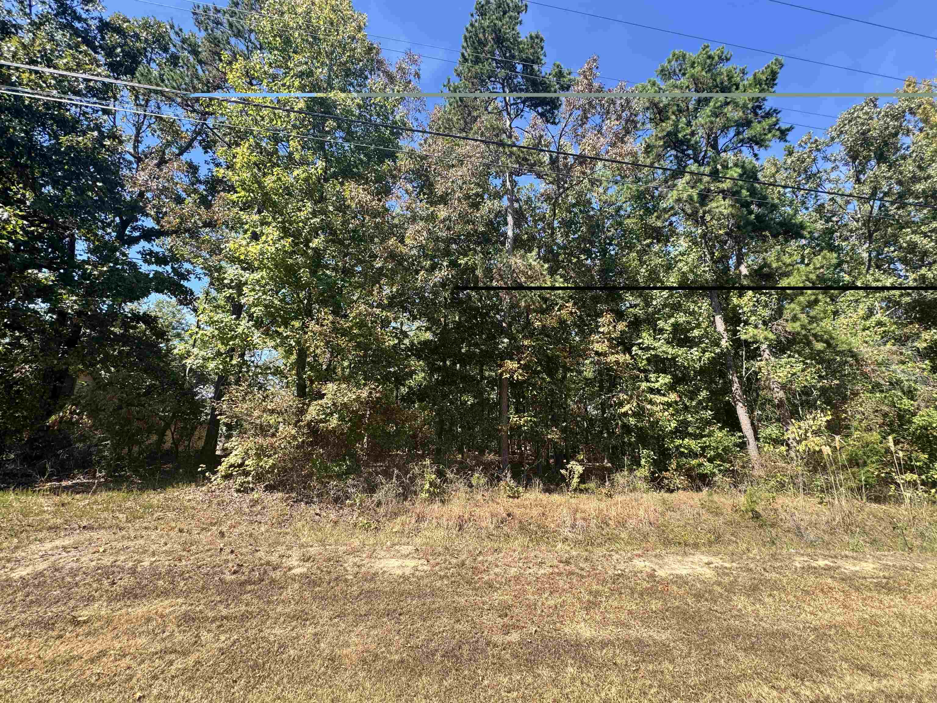 LOT 216 SANDPIPER RD Property Photo 1