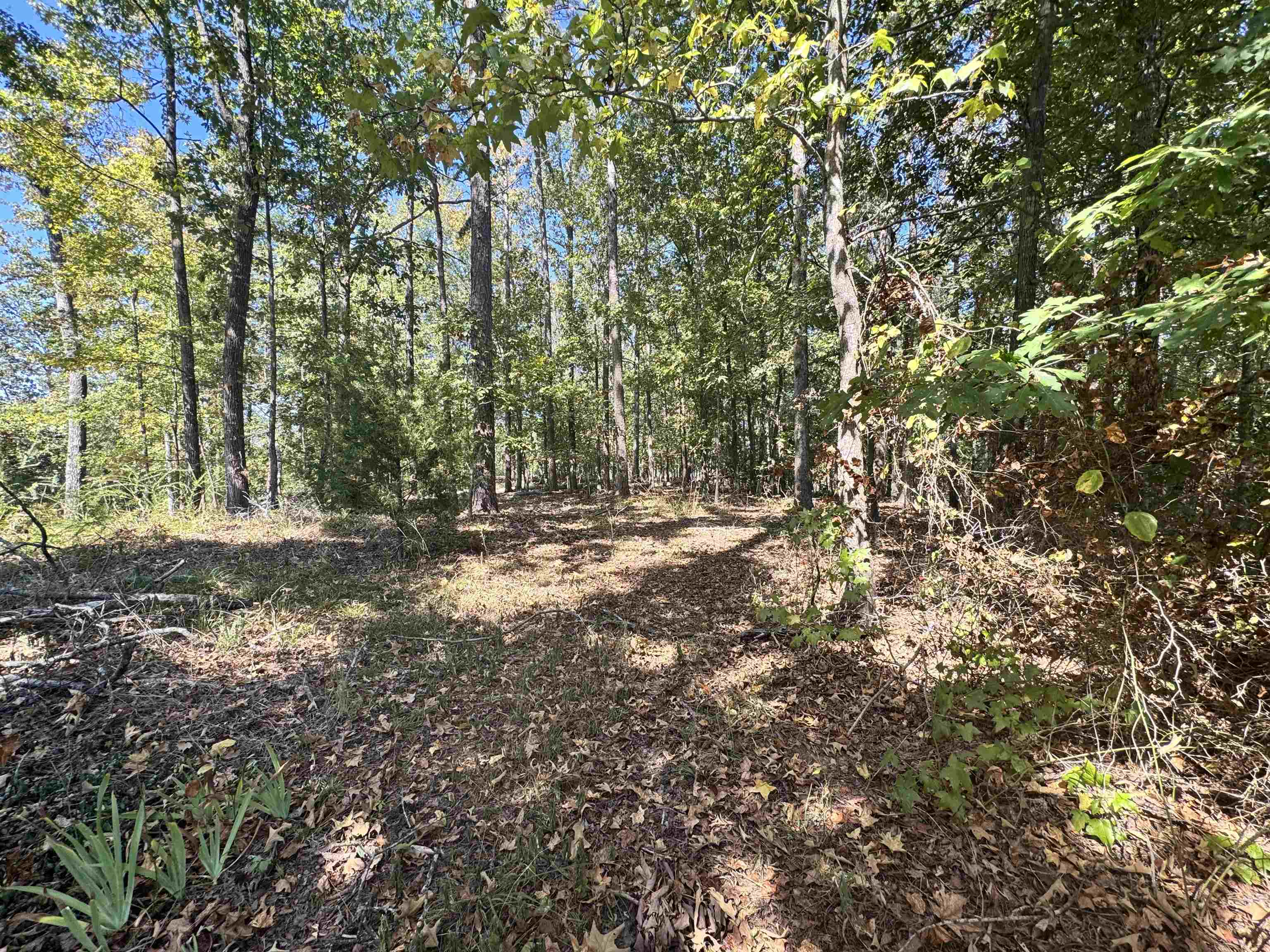 Lot 216 Sandpiper Rd Property Photo 3