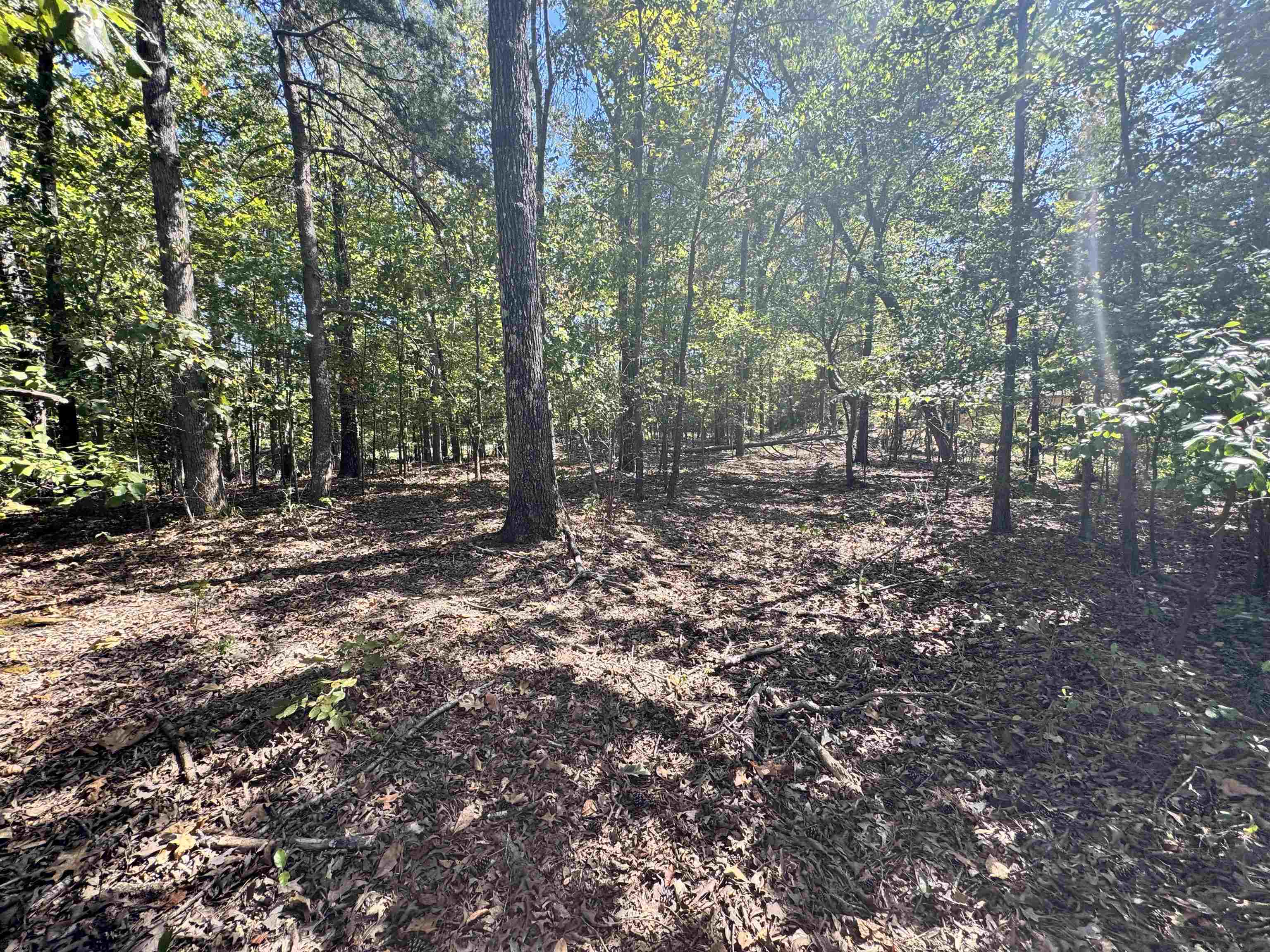 Lot 216 Sandpiper Rd Property Photo 4