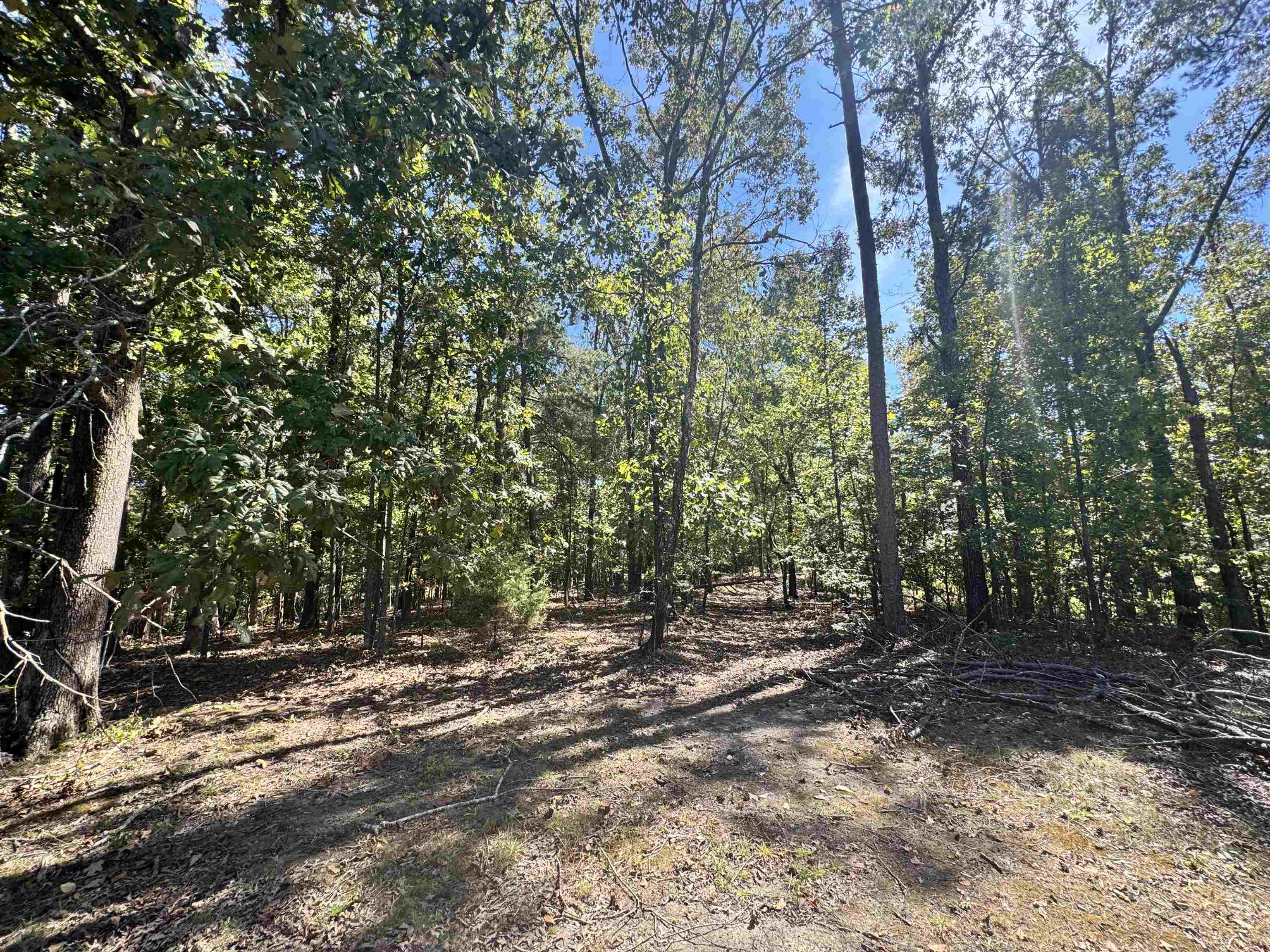 Lot 216 Sandpiper Rd Property Photo 5
