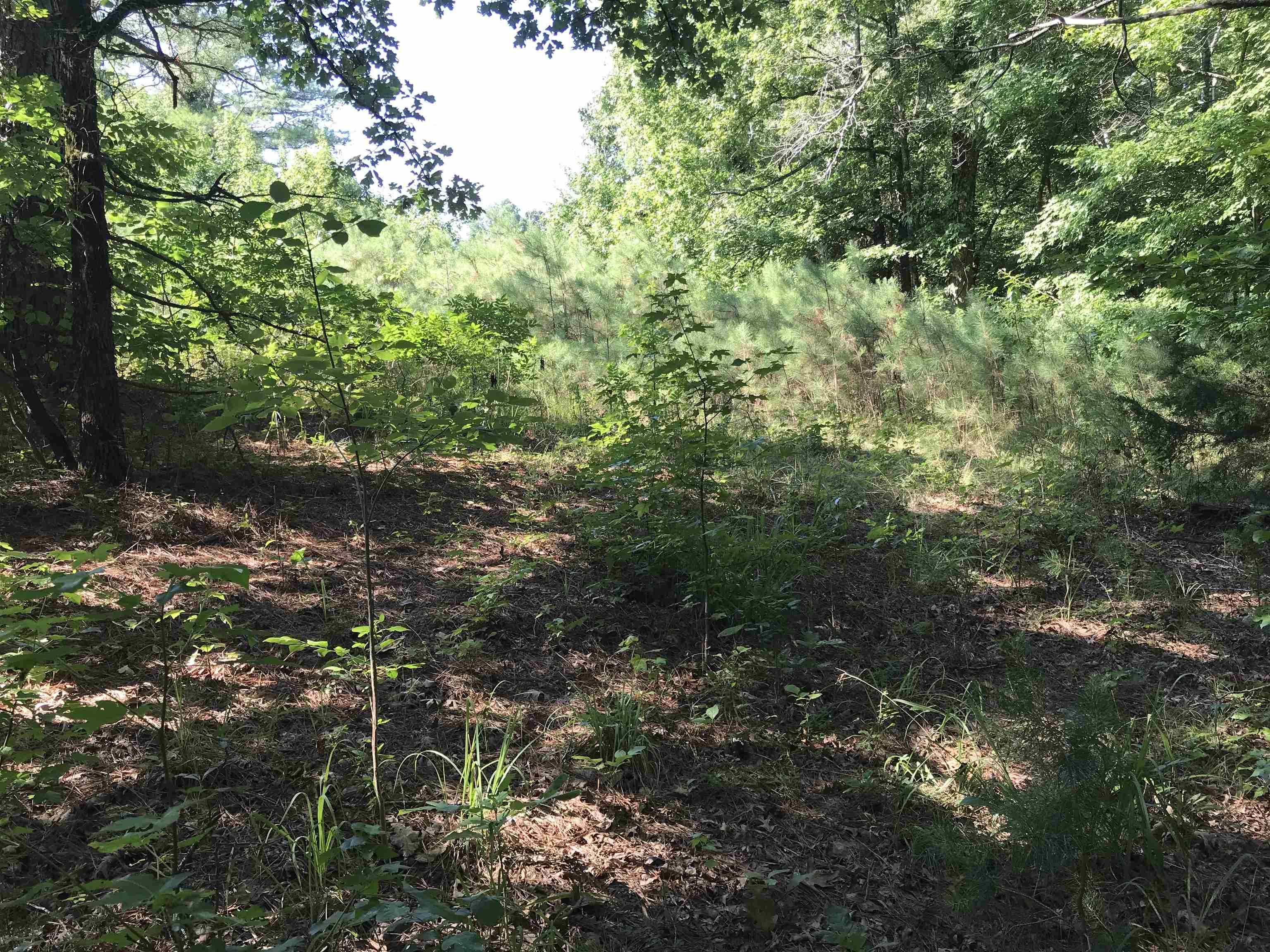 Hwy 142/kimberly Ln Property Photo 7
