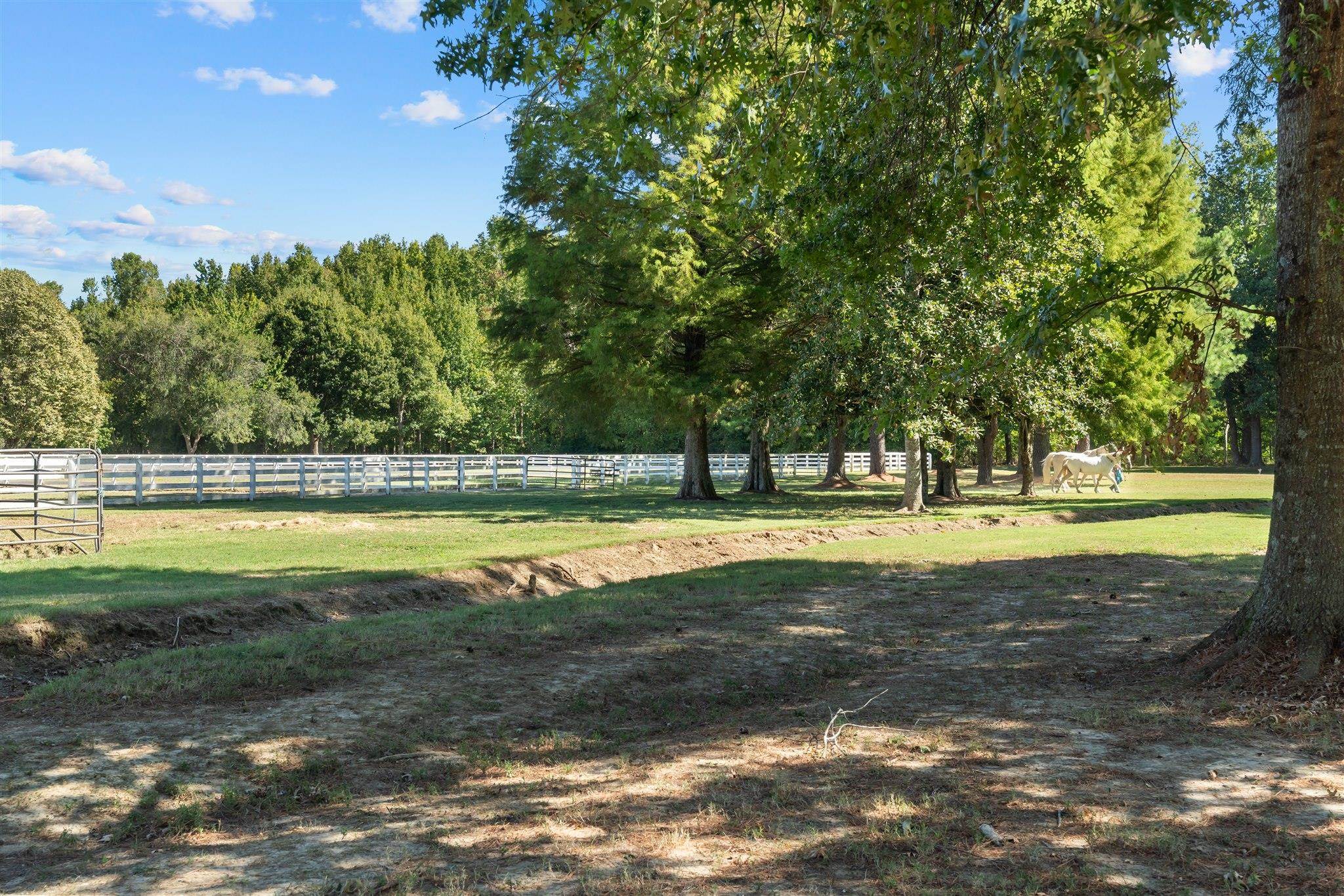 450 N Reid-hooker Rd Property Photo 22