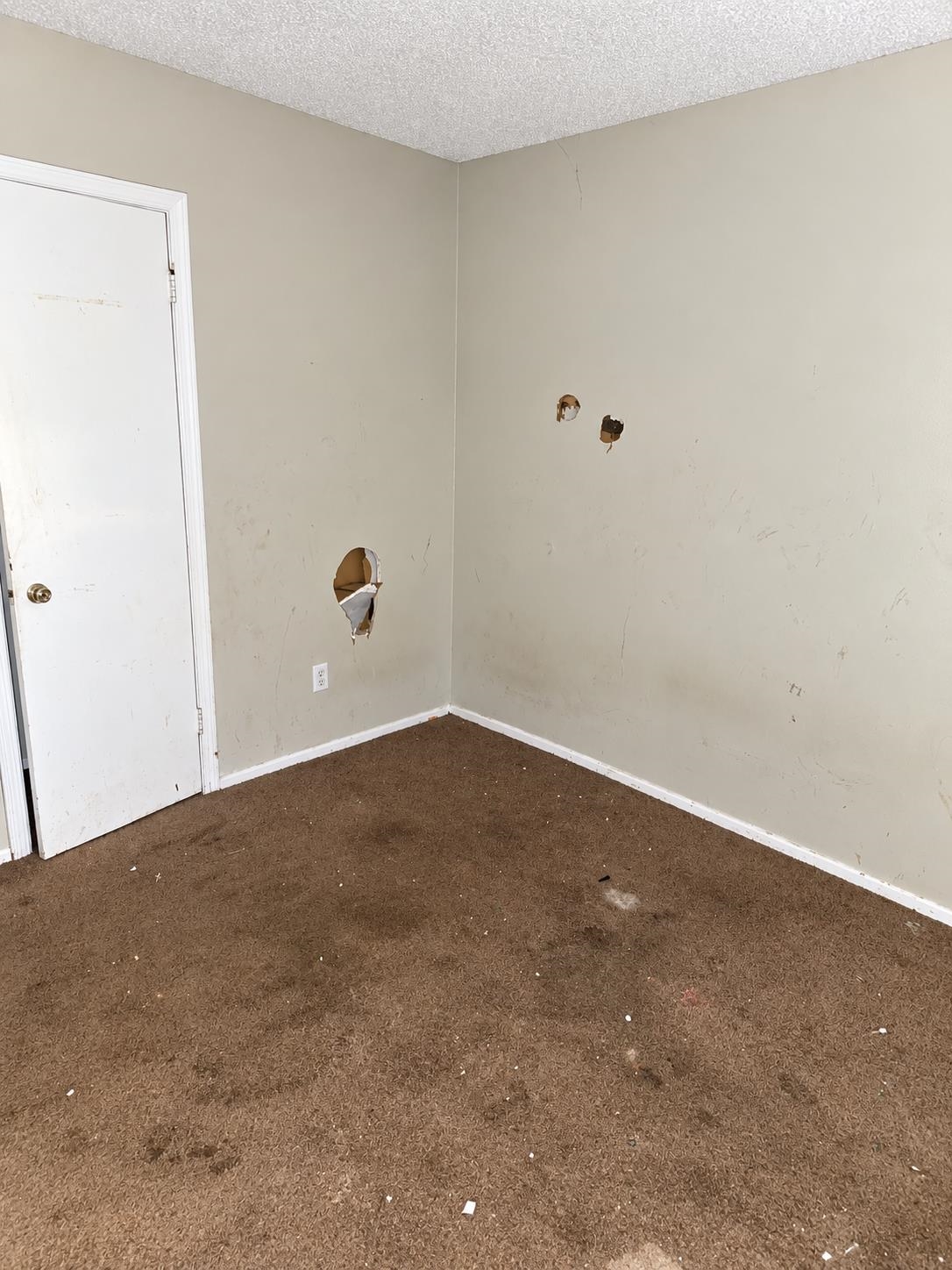 4450 Suncrest Dr Property Photo 17