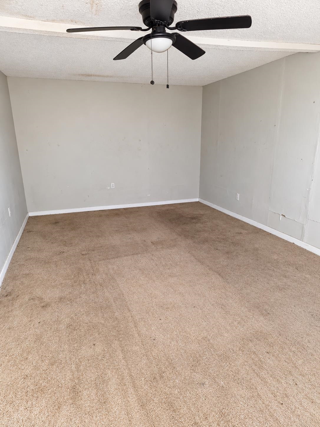 4450 Suncrest Dr Property Photo 19