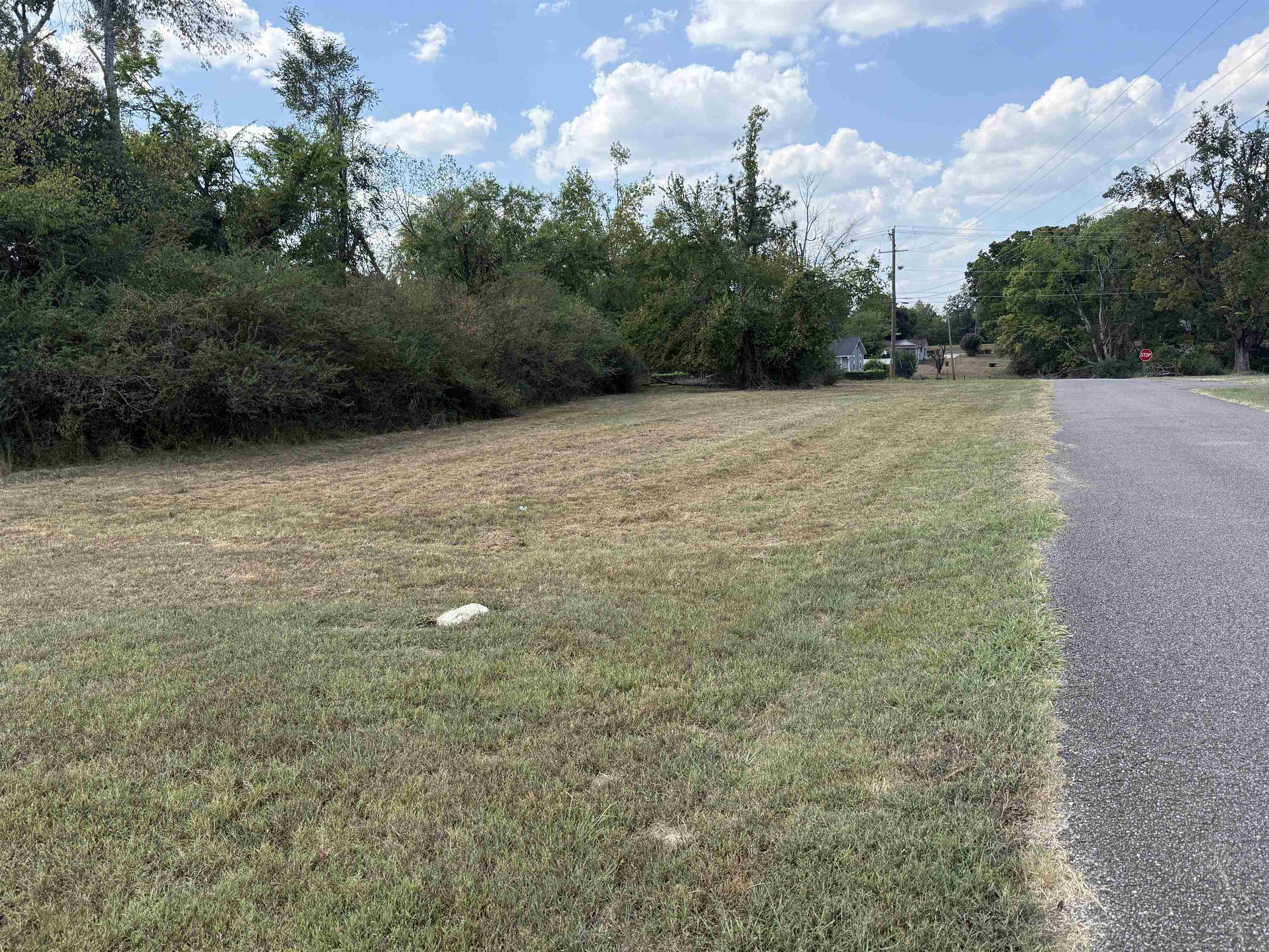 305 South St Property Photo 5
