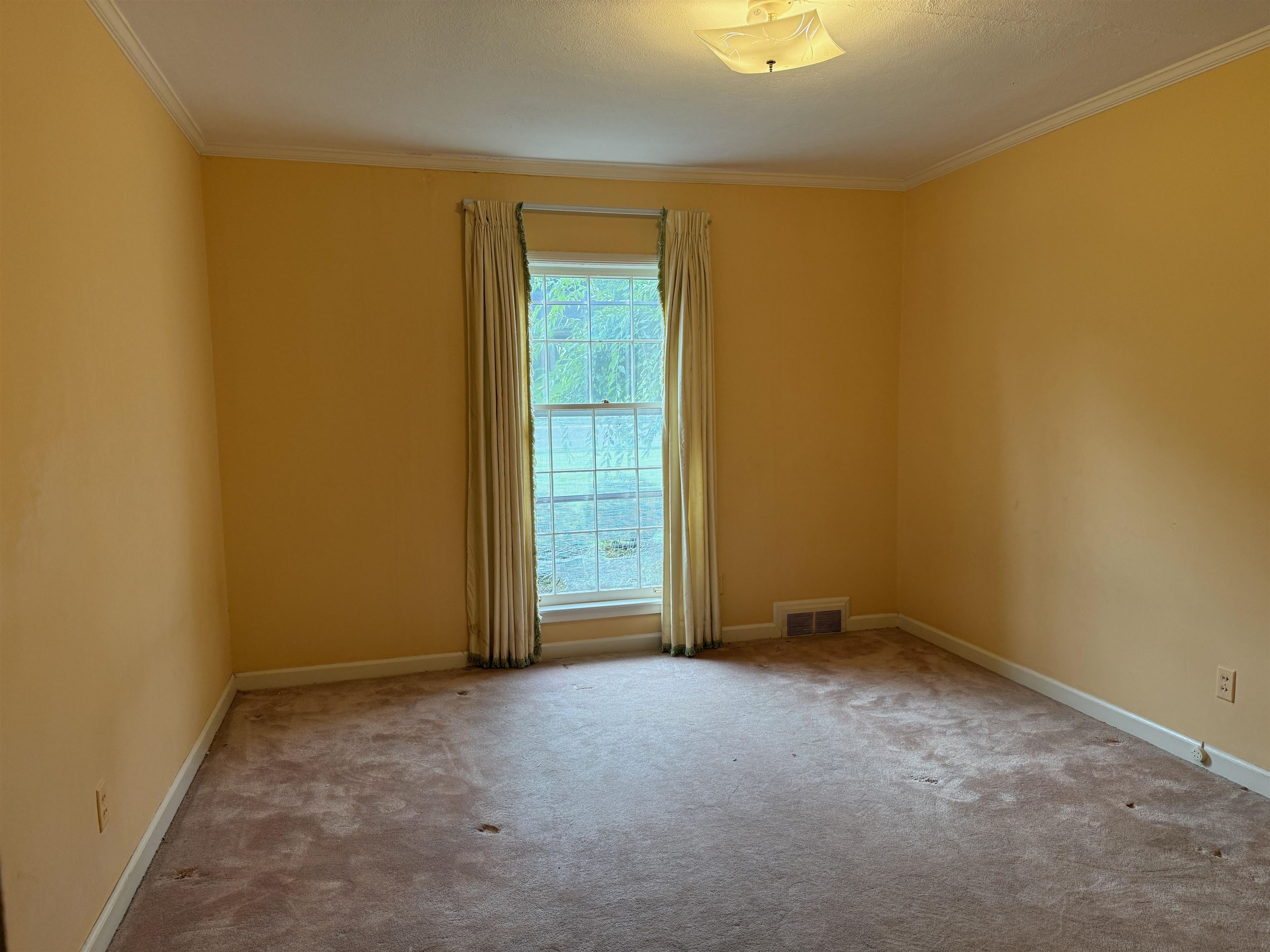 5534 Walnut Grove Rd Property Photo 15