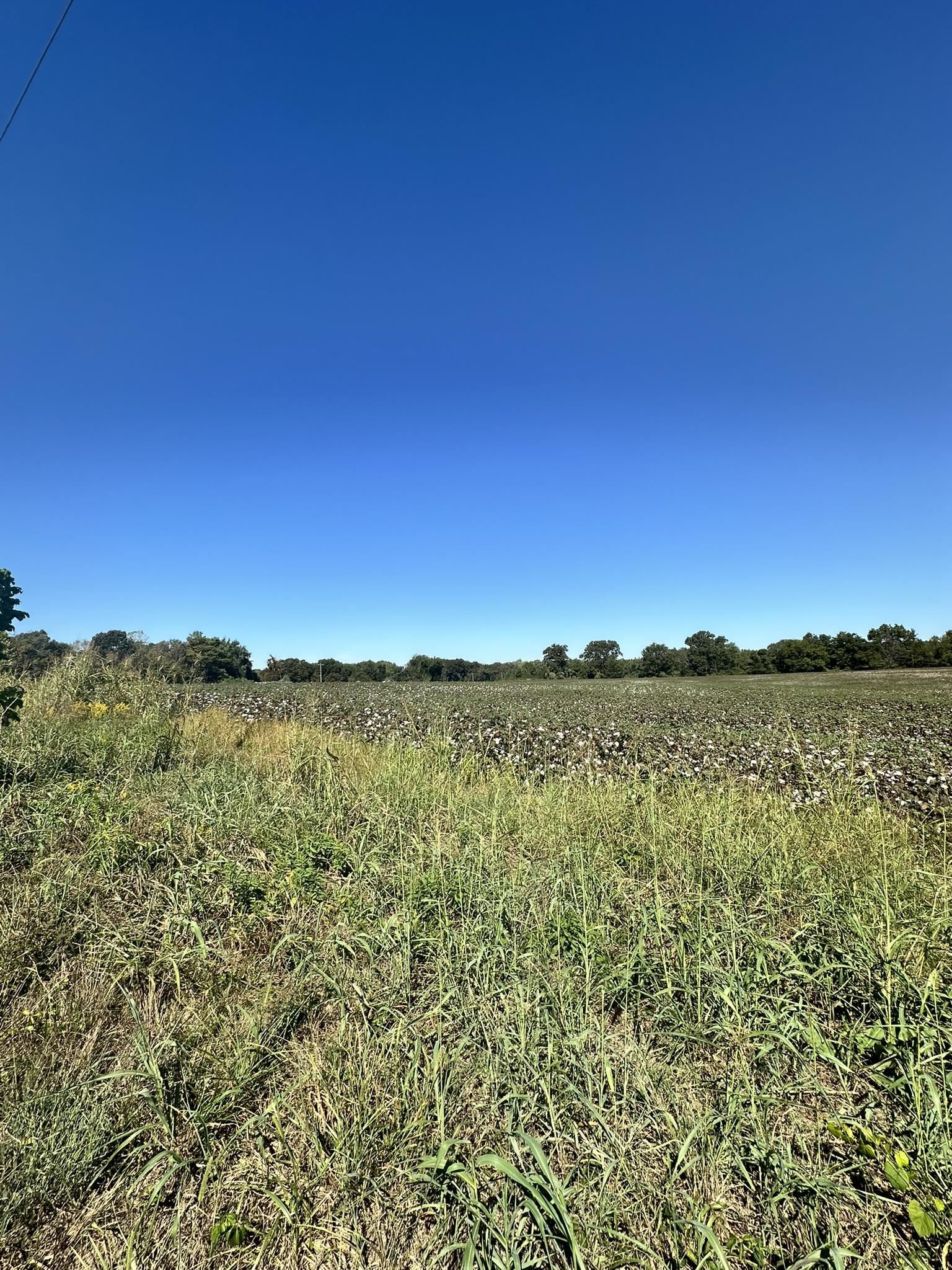02 64 Hwy Property Photo 12