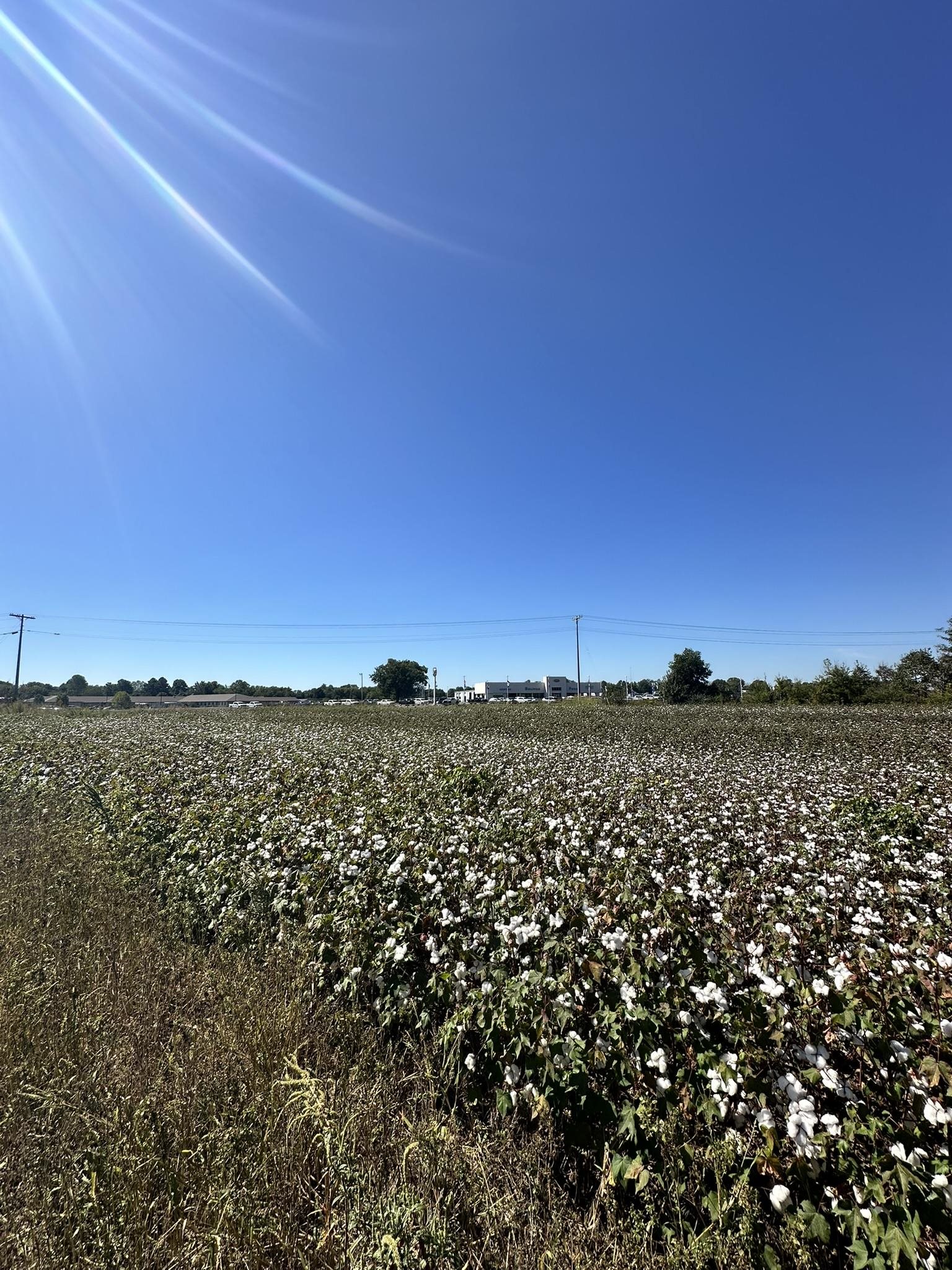 02 64 Hwy Property Photo 29
