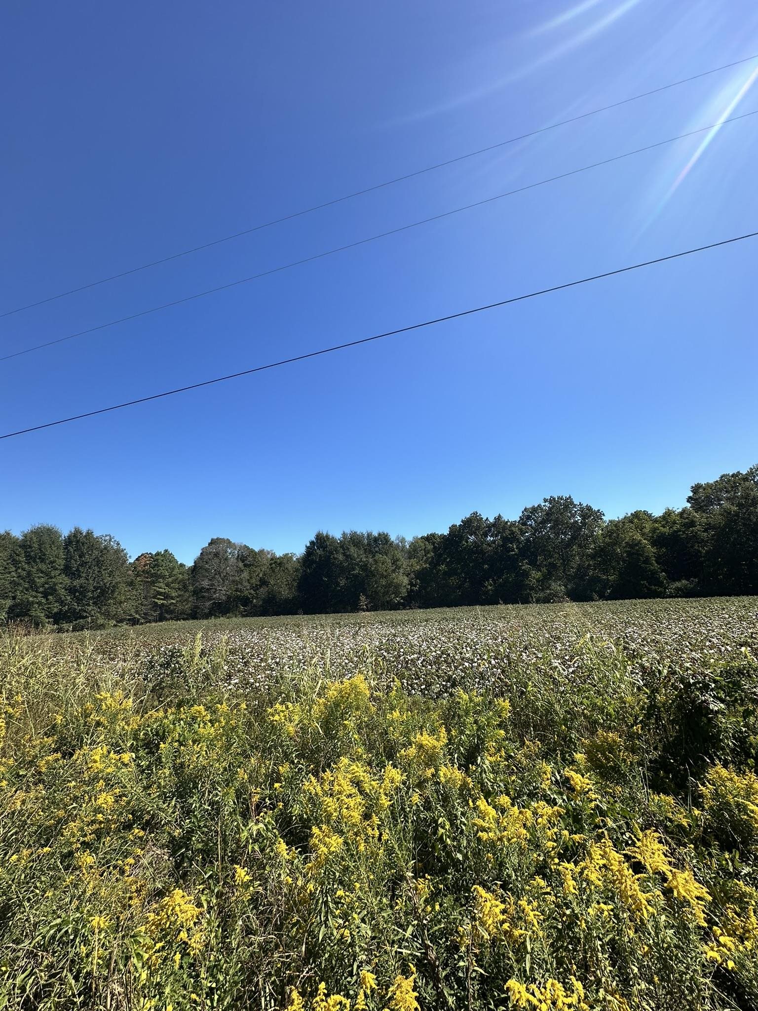 03 64 Hwy Property Photo 31