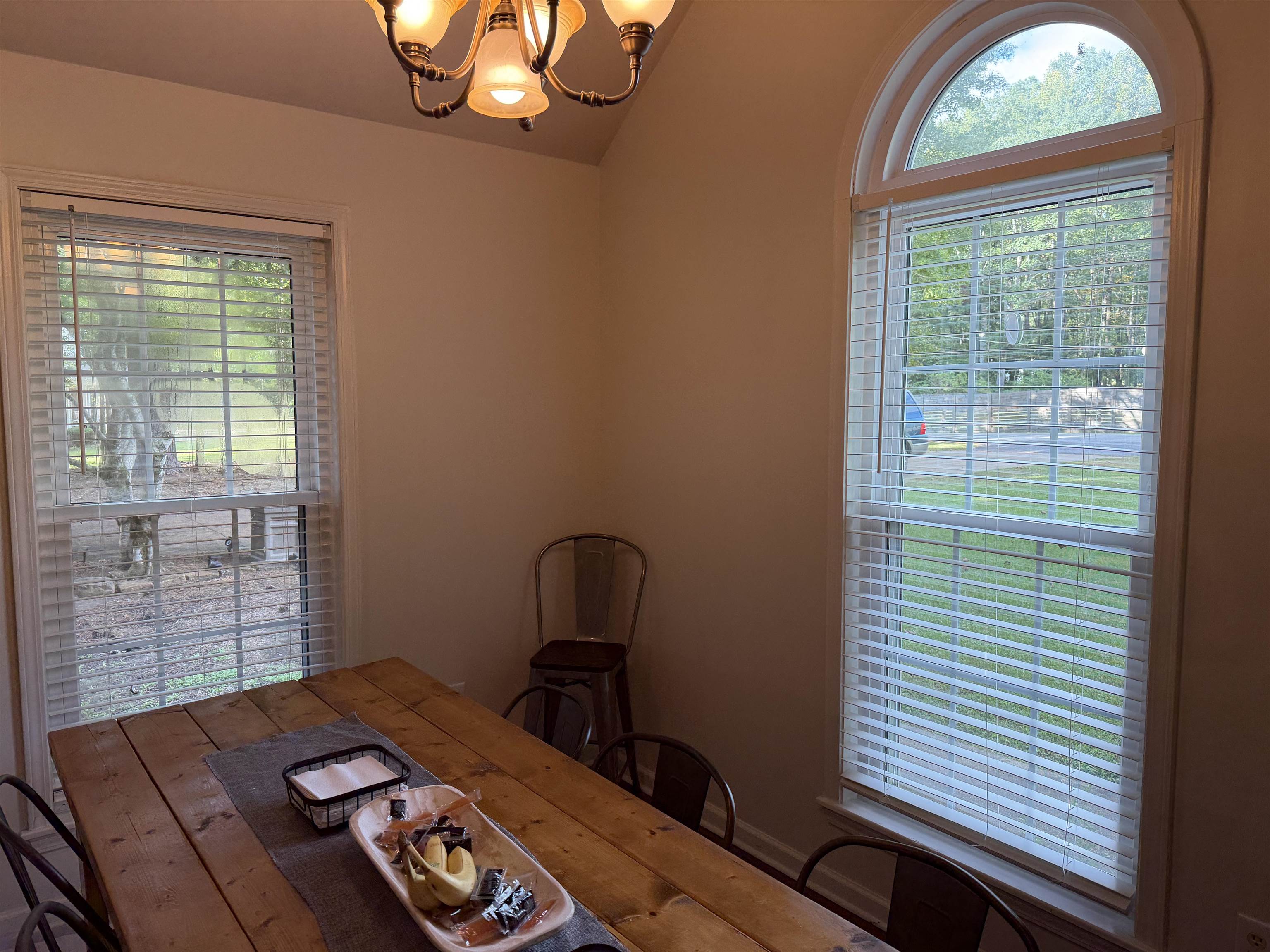 1118 Casey Springs Cir Property Photo 11
