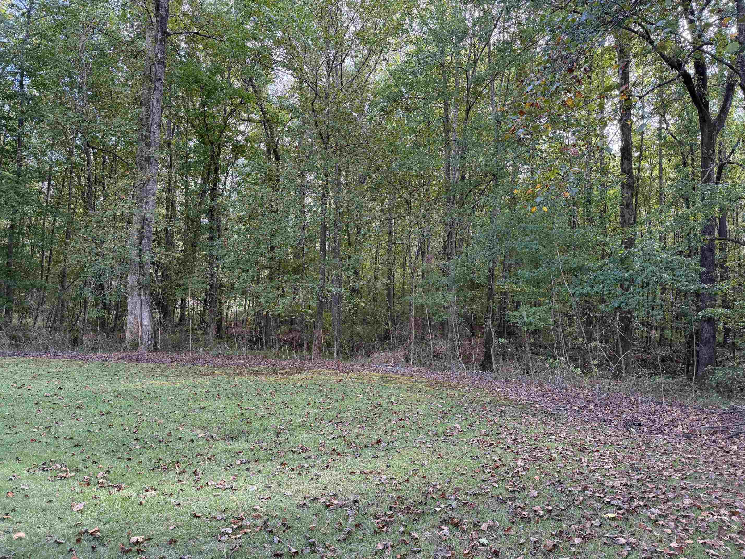 1118 Casey Springs Cir Property Photo 34