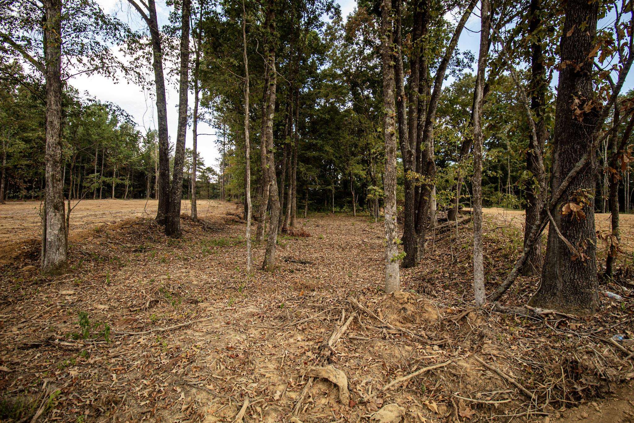 0 Bateman Rd Property Photo 5