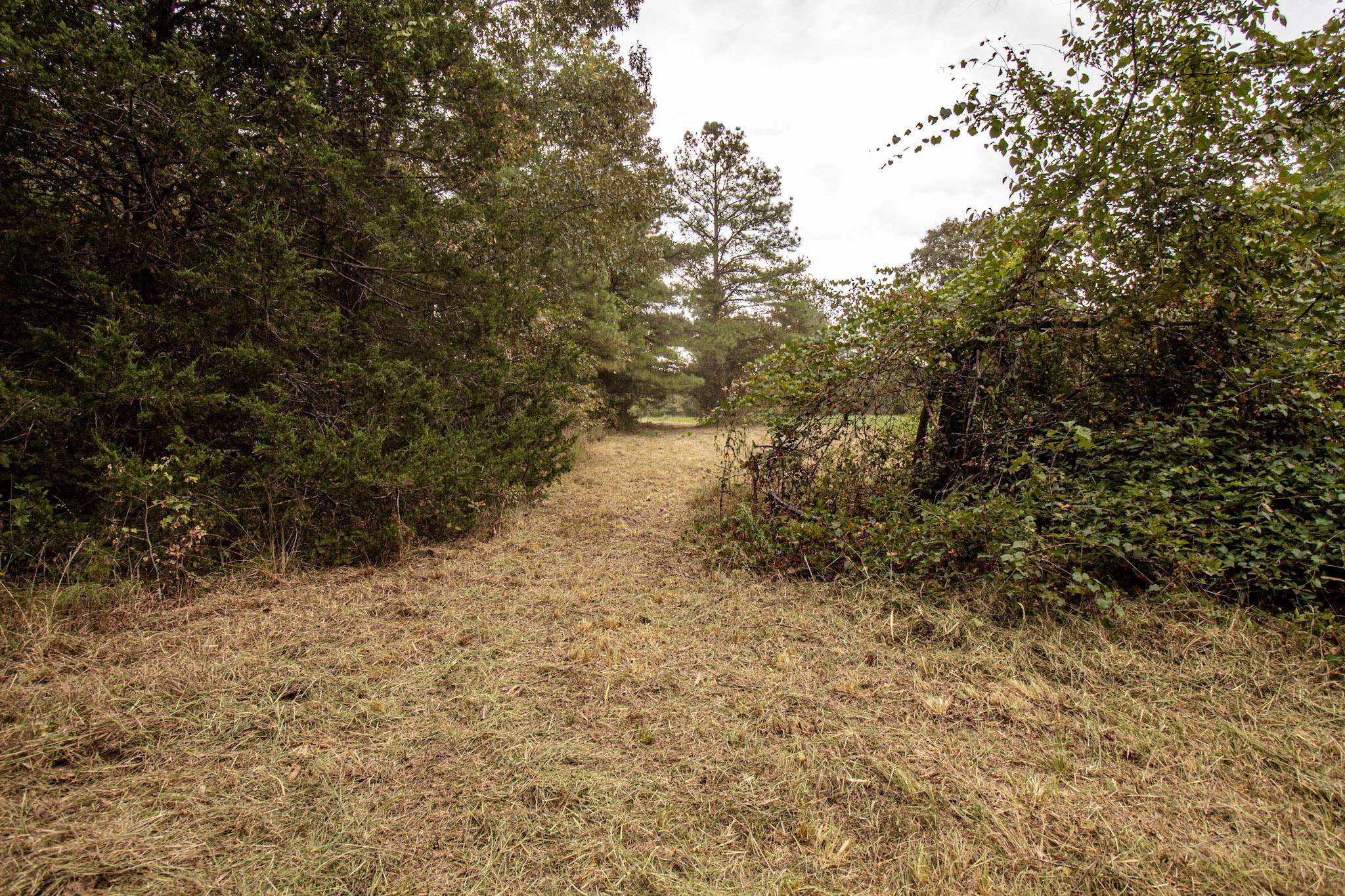 0 Bateman Rd Property Photo 33