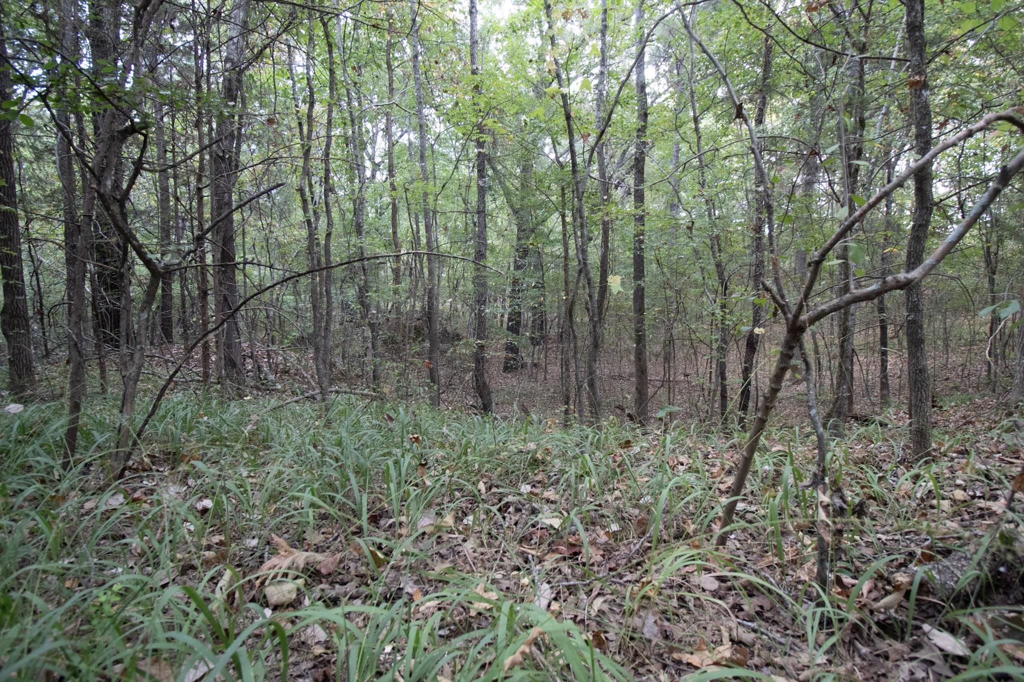 0 Bateman Rd Property Photo 35