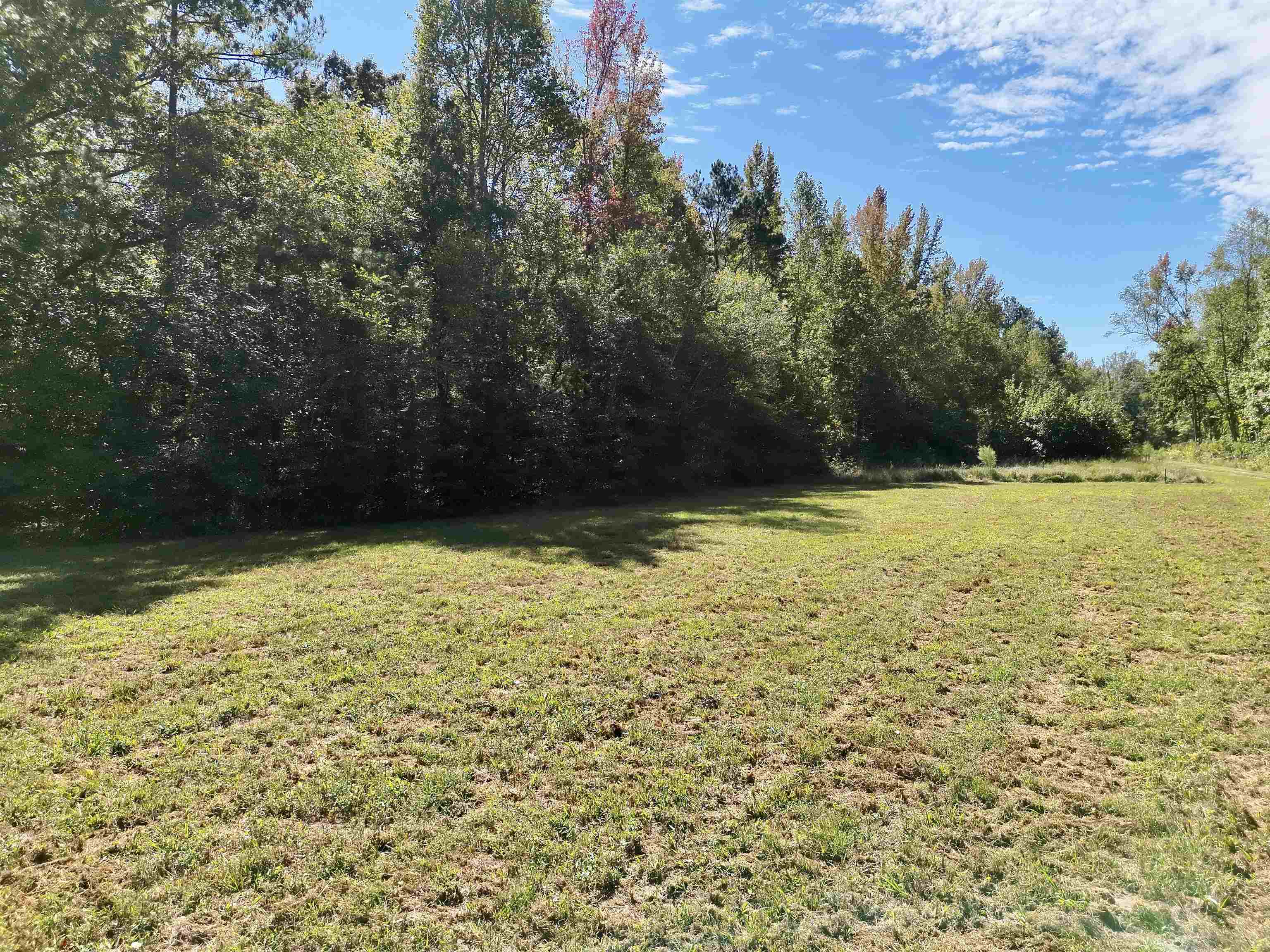 0 Cora Ln Property Photo 13