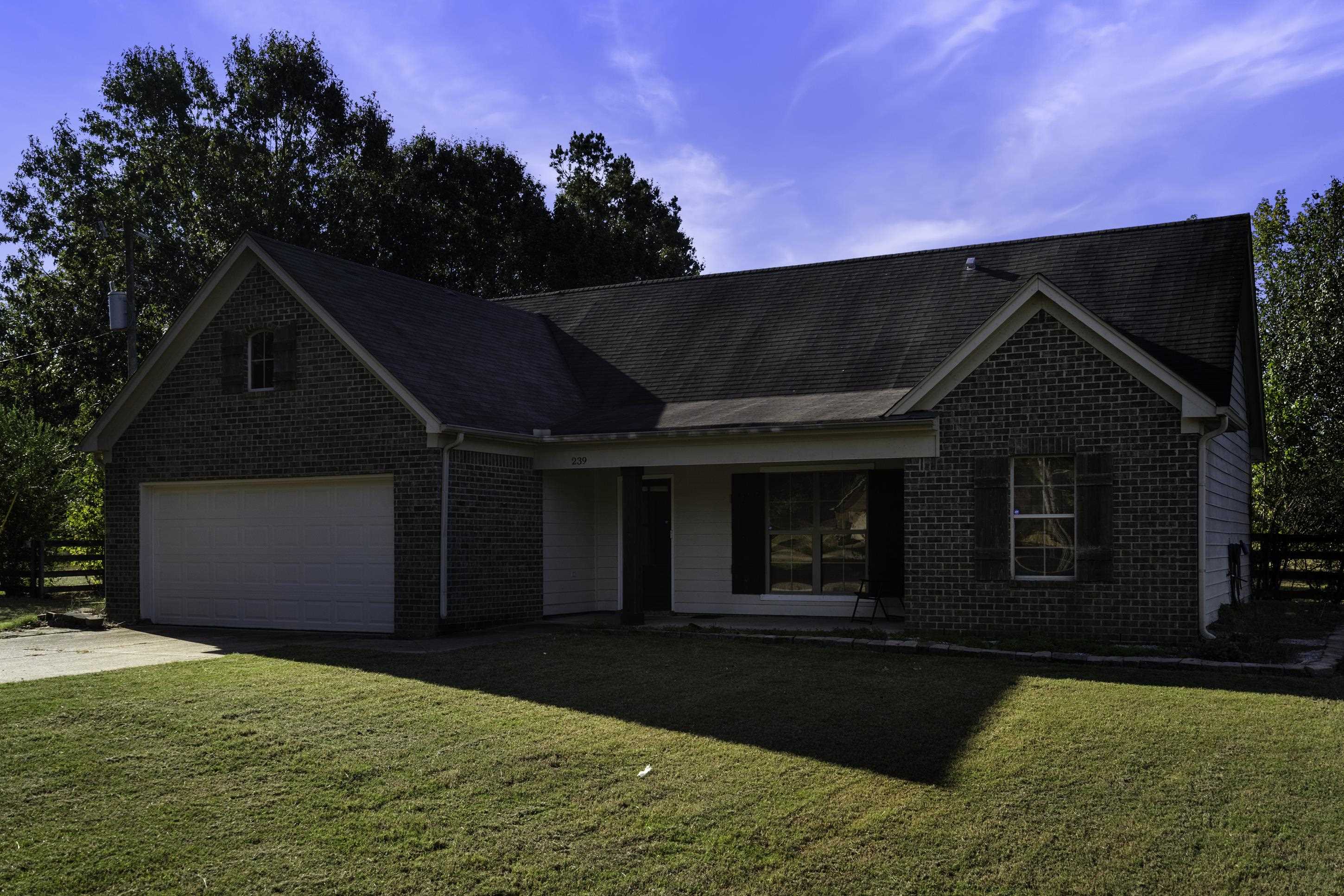 239 Amber Cir Property Photo 12