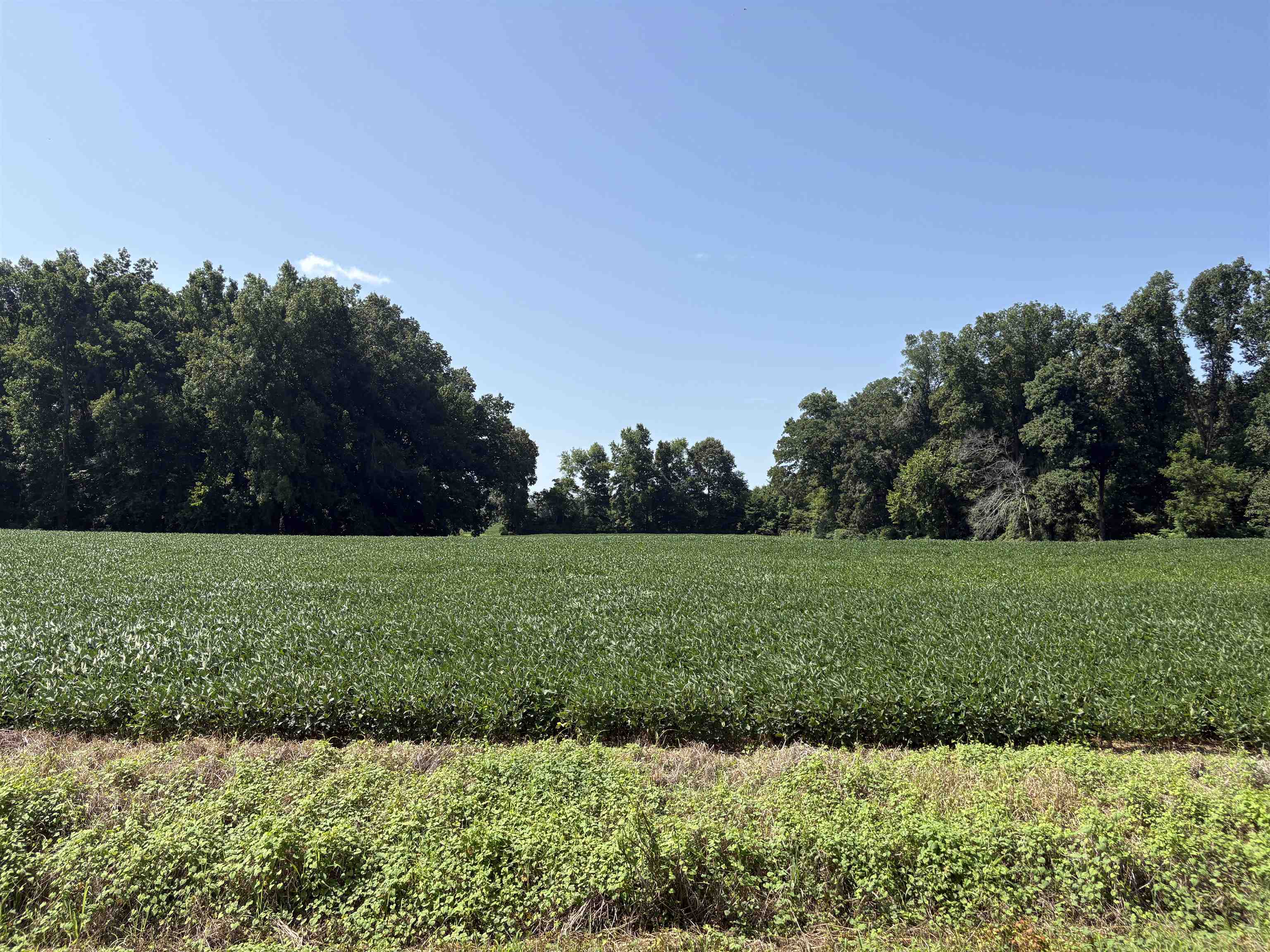 9539 Hardin Graveyard Rd Property Photo 14