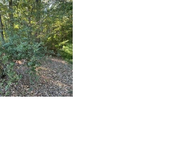 425 Hickory Woods Ln Property Photo 1