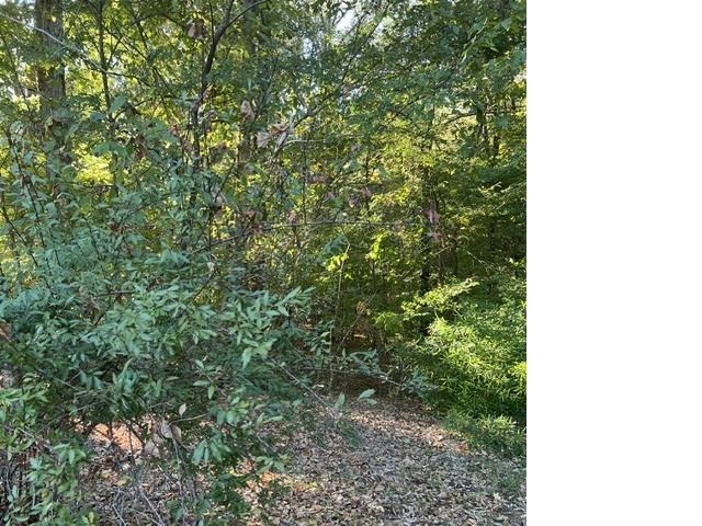 425 Hickory Woods Ln Property Photo 2