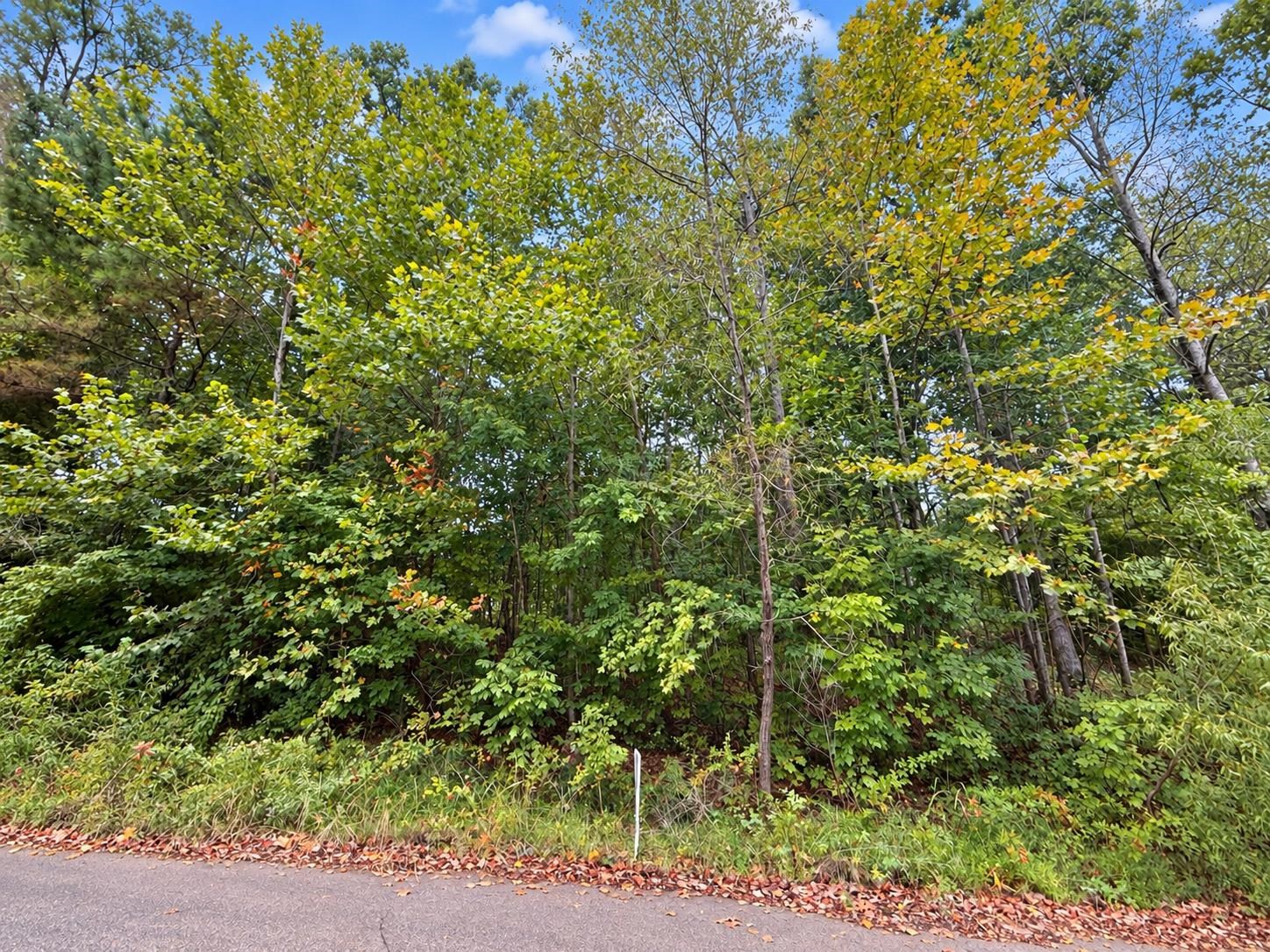 235 Millie Ln Property Photo 5