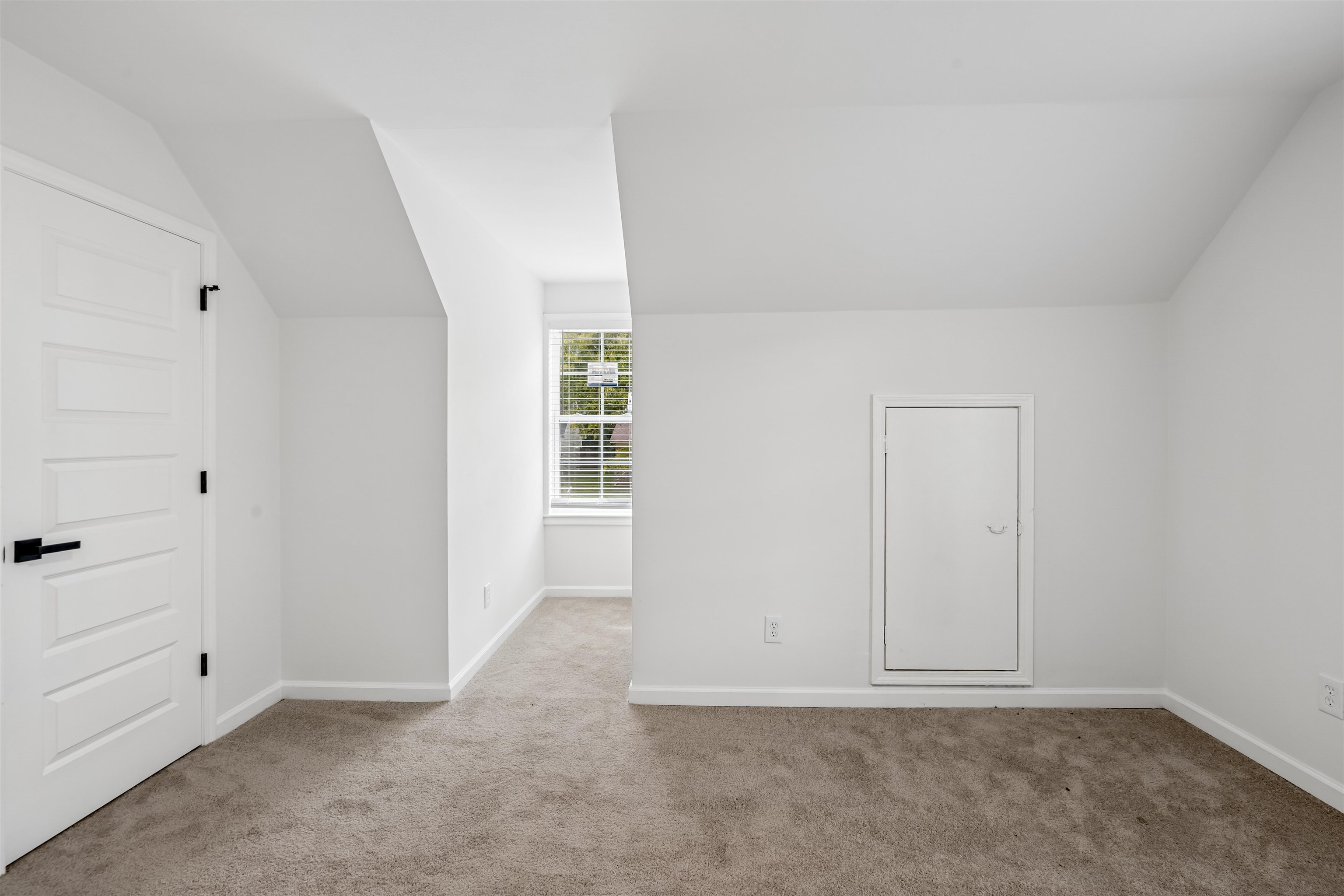 5304 Bitter Creek Dr Property Photo 17