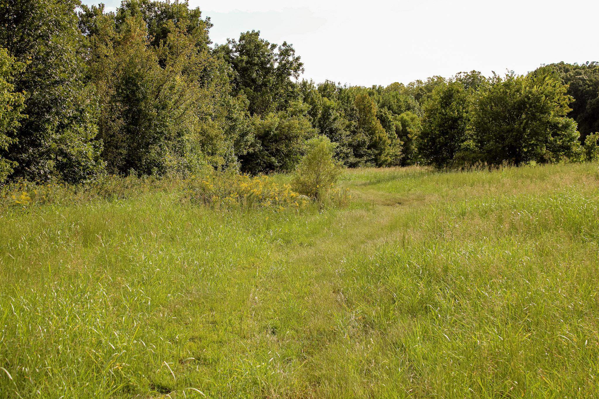 0 Dunlap Orphanage Rd Property Photo 4