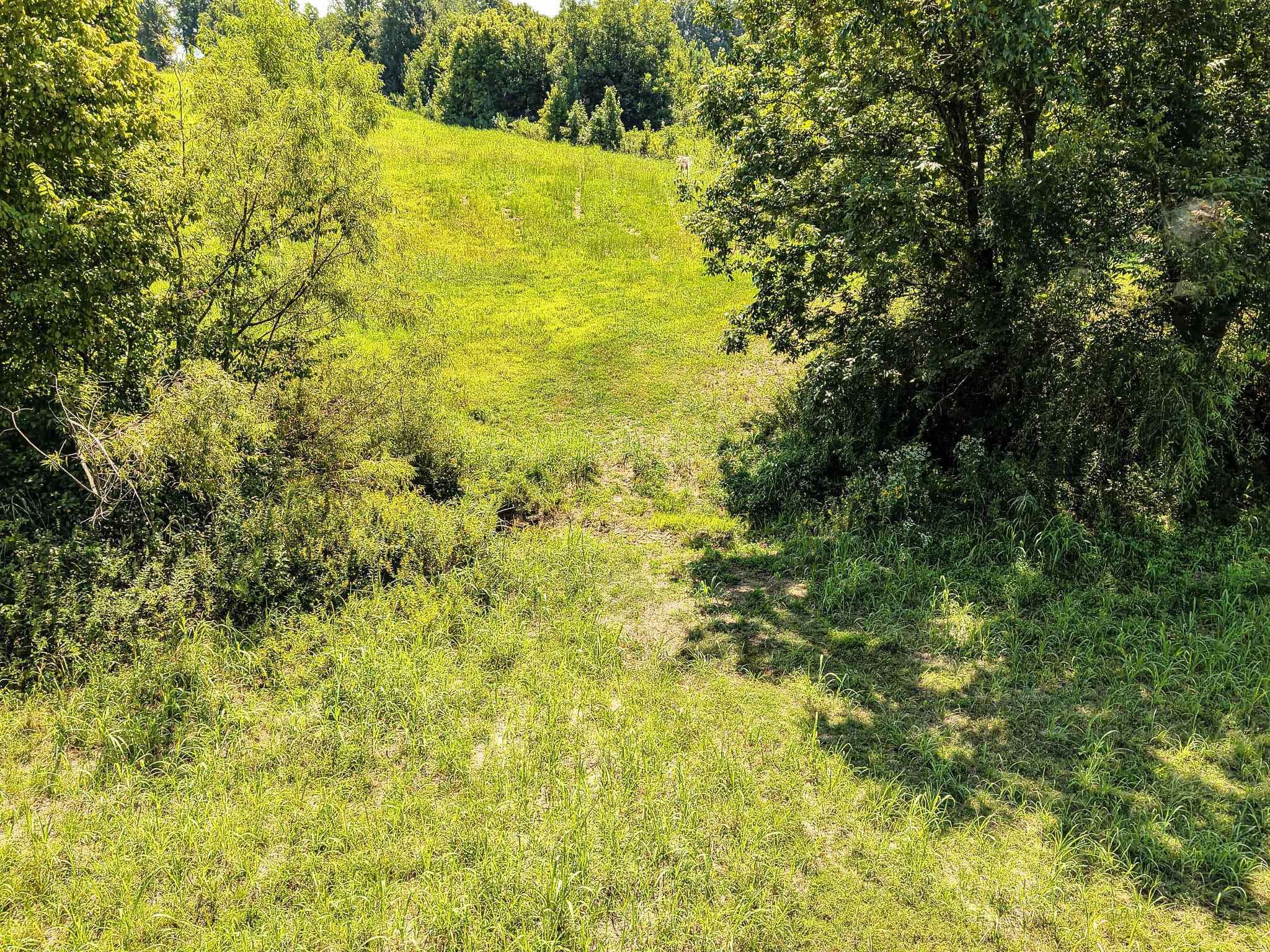 0 Dunlap Orphanage Rd Property Photo 22