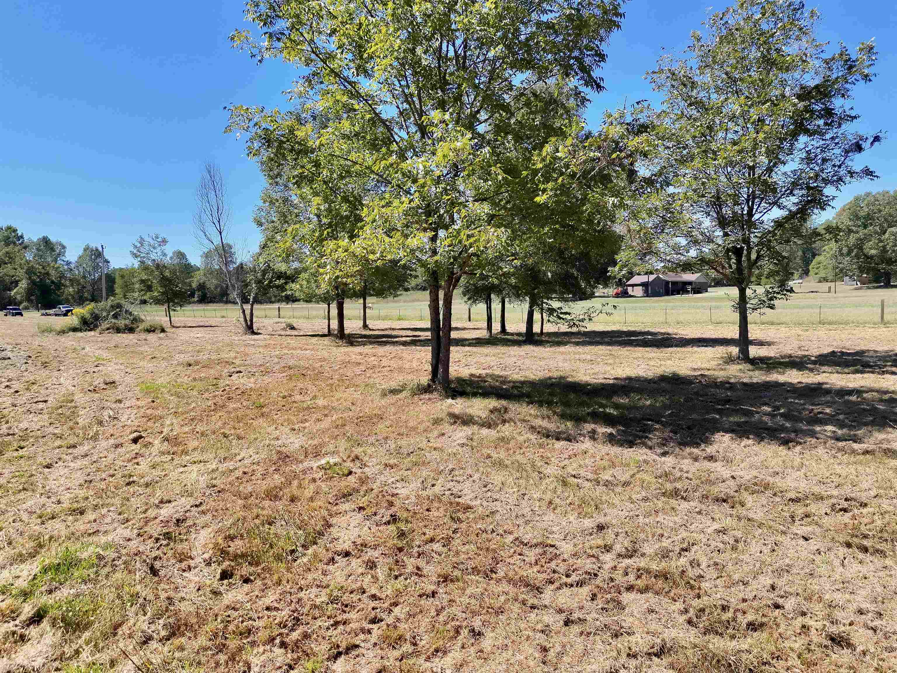 00 Pea Vine Rd S Property Photo 5