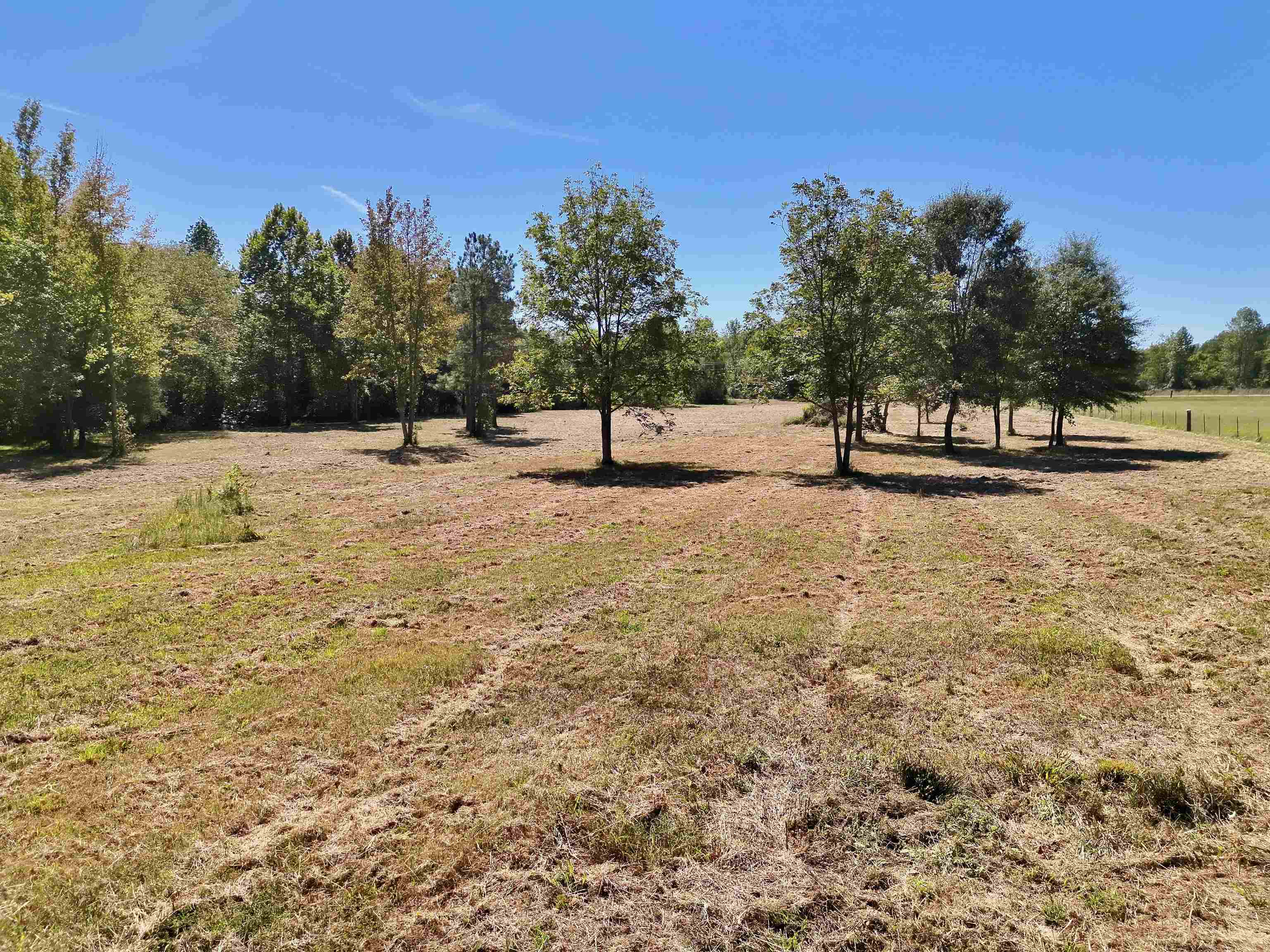 00 Pea Vine Rd S Property Photo 6