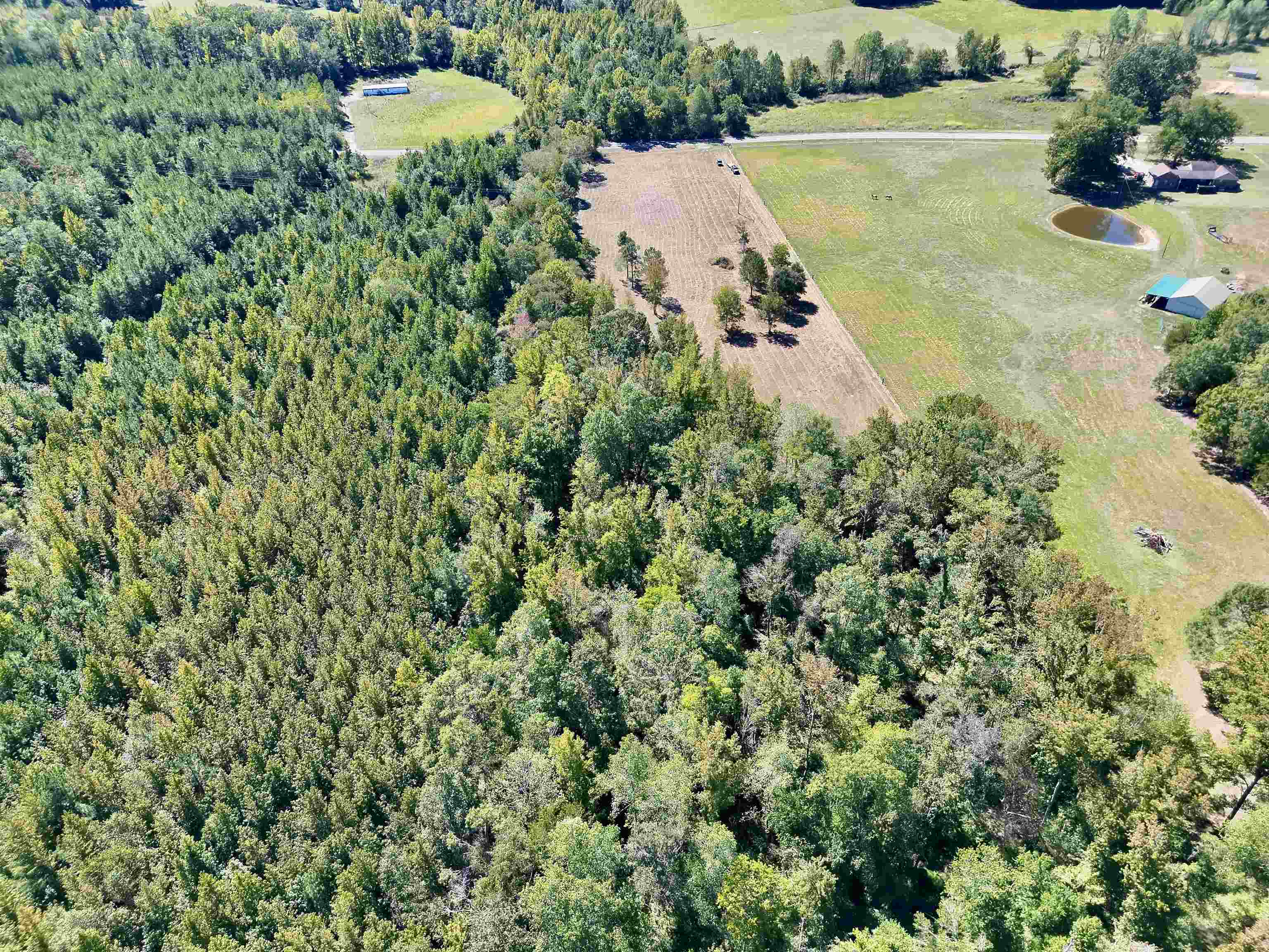 00 Pea Vine Rd S Property Photo 9