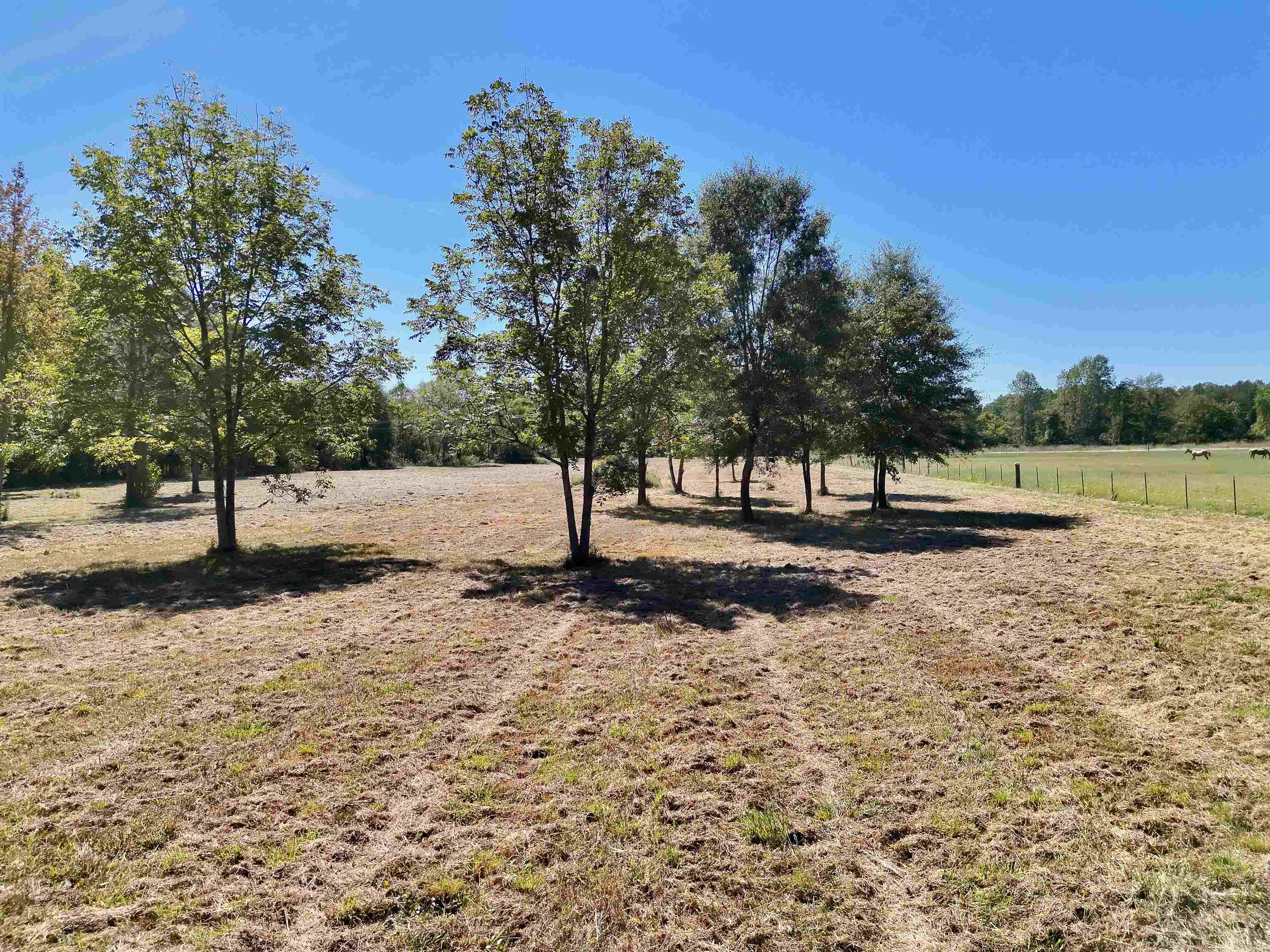 00 Pea Vine Rd S Property Photo 10